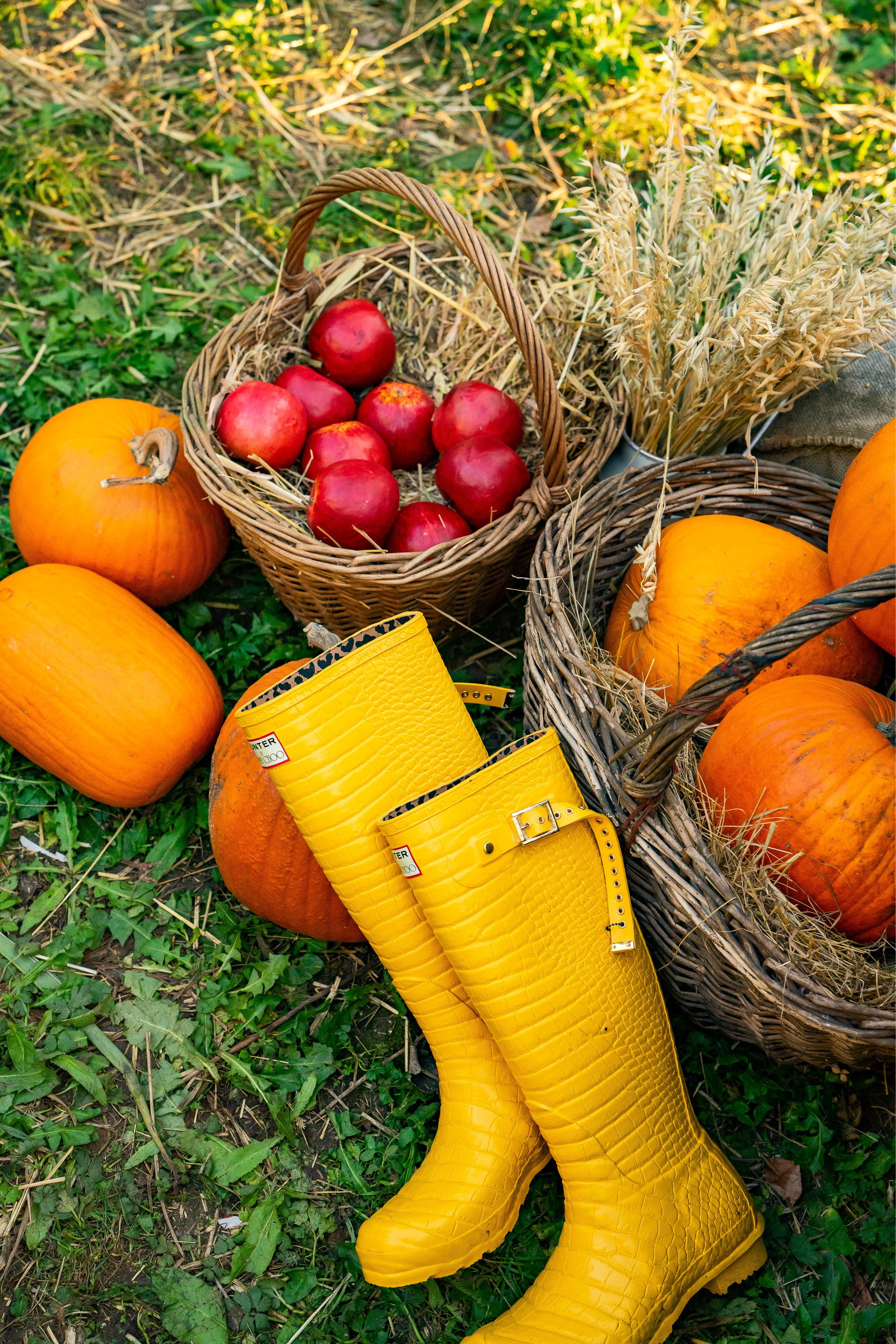 Осенняя Love Story. Ваш фотограф Tetiana Kolos, найду самый удачный ракурс и словлю момент