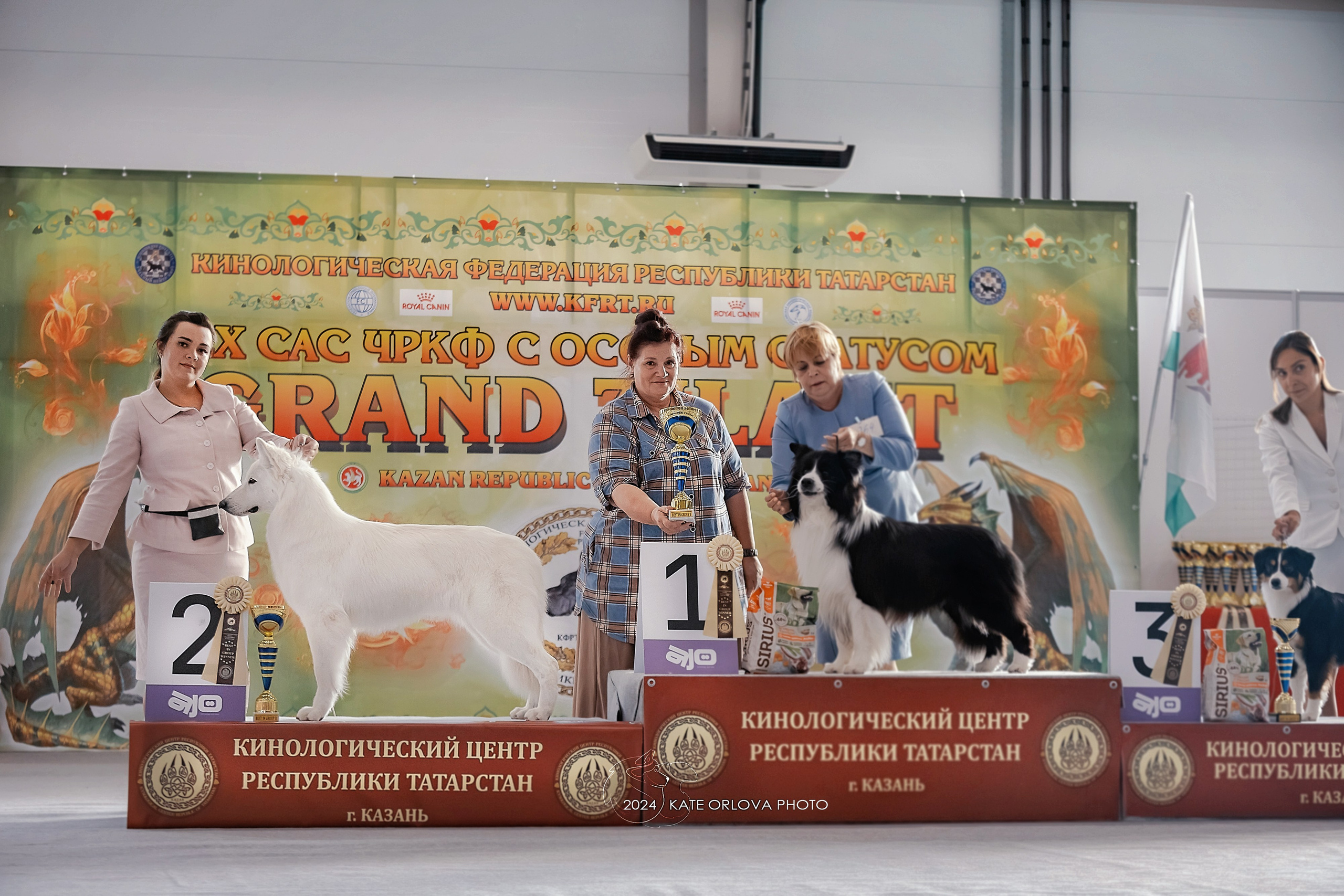 Фотосъемка собак, щенков, на выставках, фотограф анималист Россия воронеж. Питомник собак Акита, Хаски, Корги