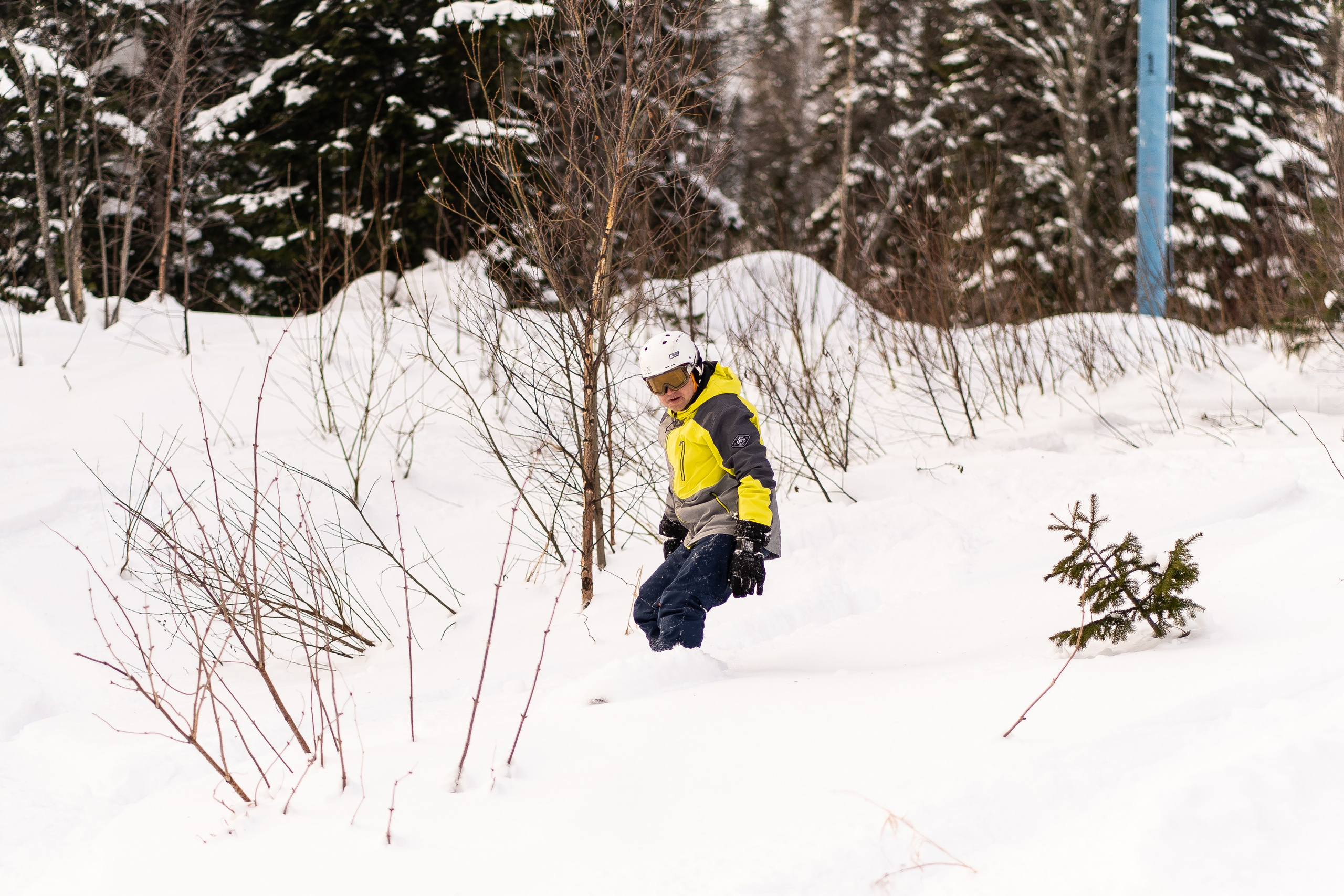 Джой 13.12. Анастасия Паршукова — фотограф Шерегеш Новосибирск