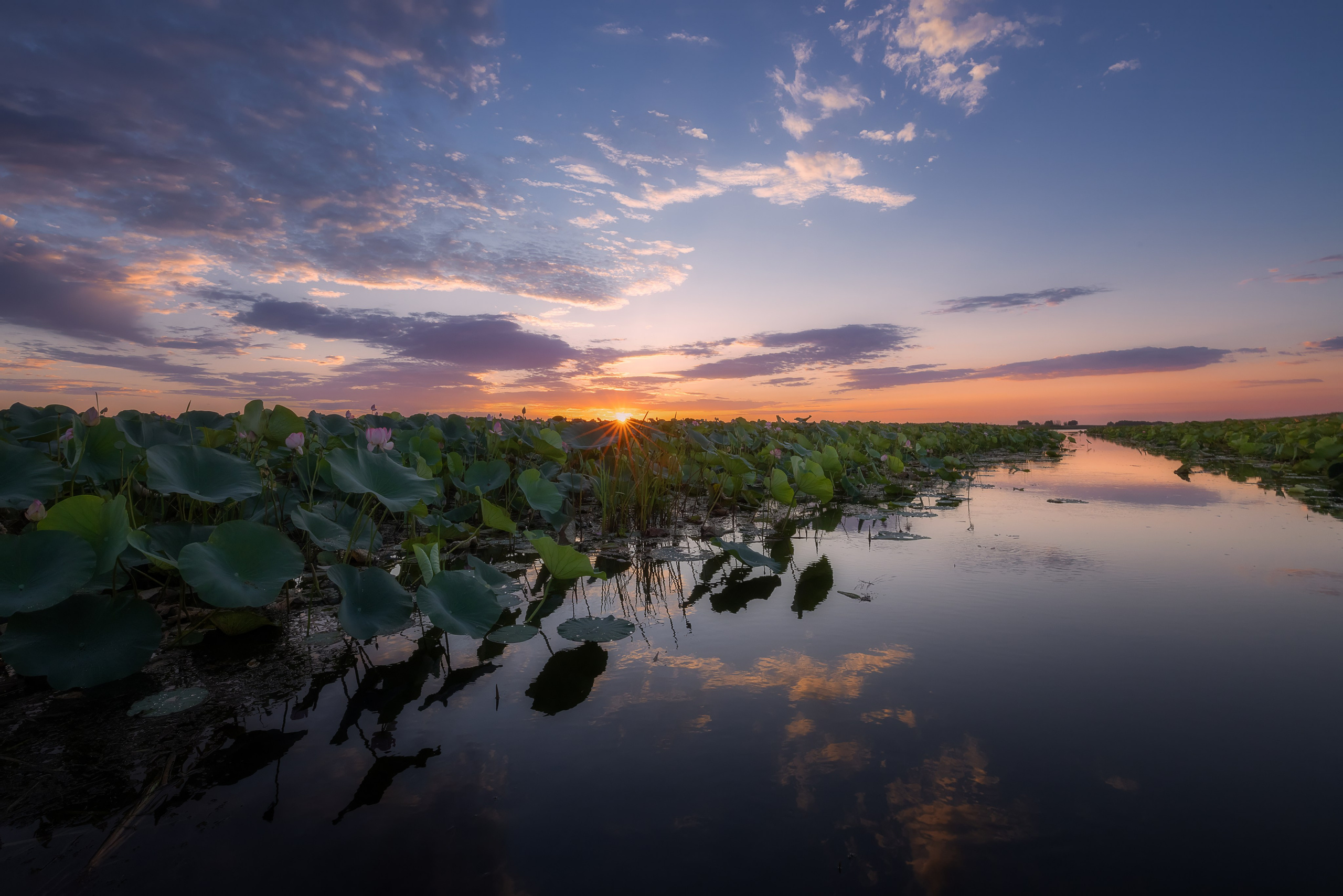 Астраханская область 2025 | Фотограф Дмитрий Купрацевич. Дмитрий Купрацевич профессиональный пейзажный и travel-фотограф