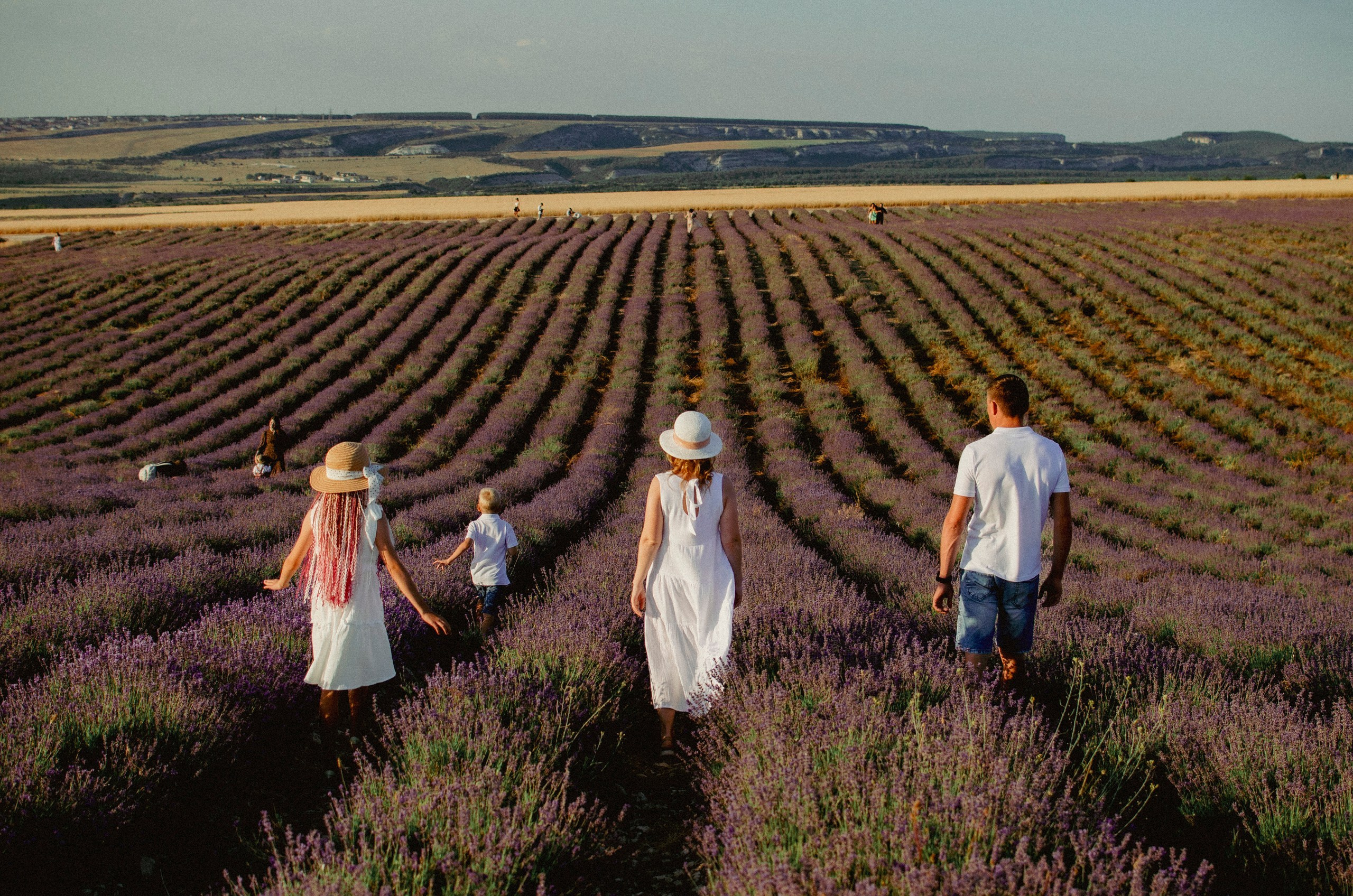 Лаванда 2025. Саша, Женя, Маша и Дима. Фотограф в Евпатории и по Крыму с которым комфортно всем Добровольская Татьяна