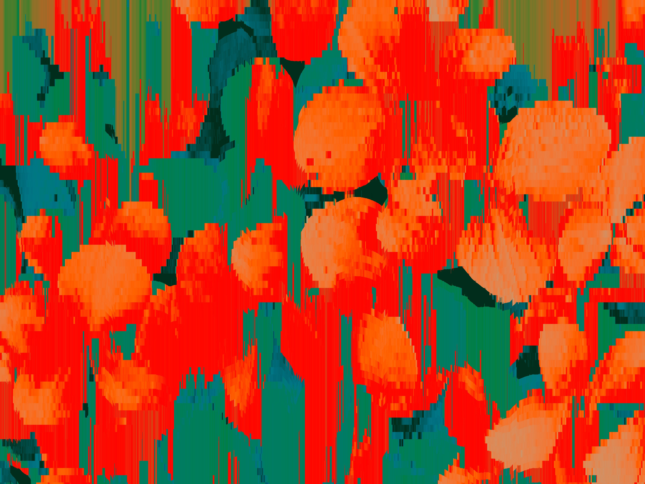 UNTITLED. Anastasia Sukhoparova artist photographer