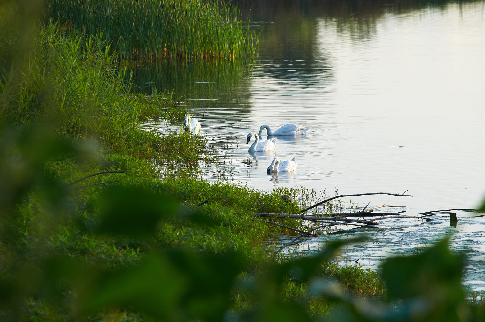 Координаты красоты — география в фокусе