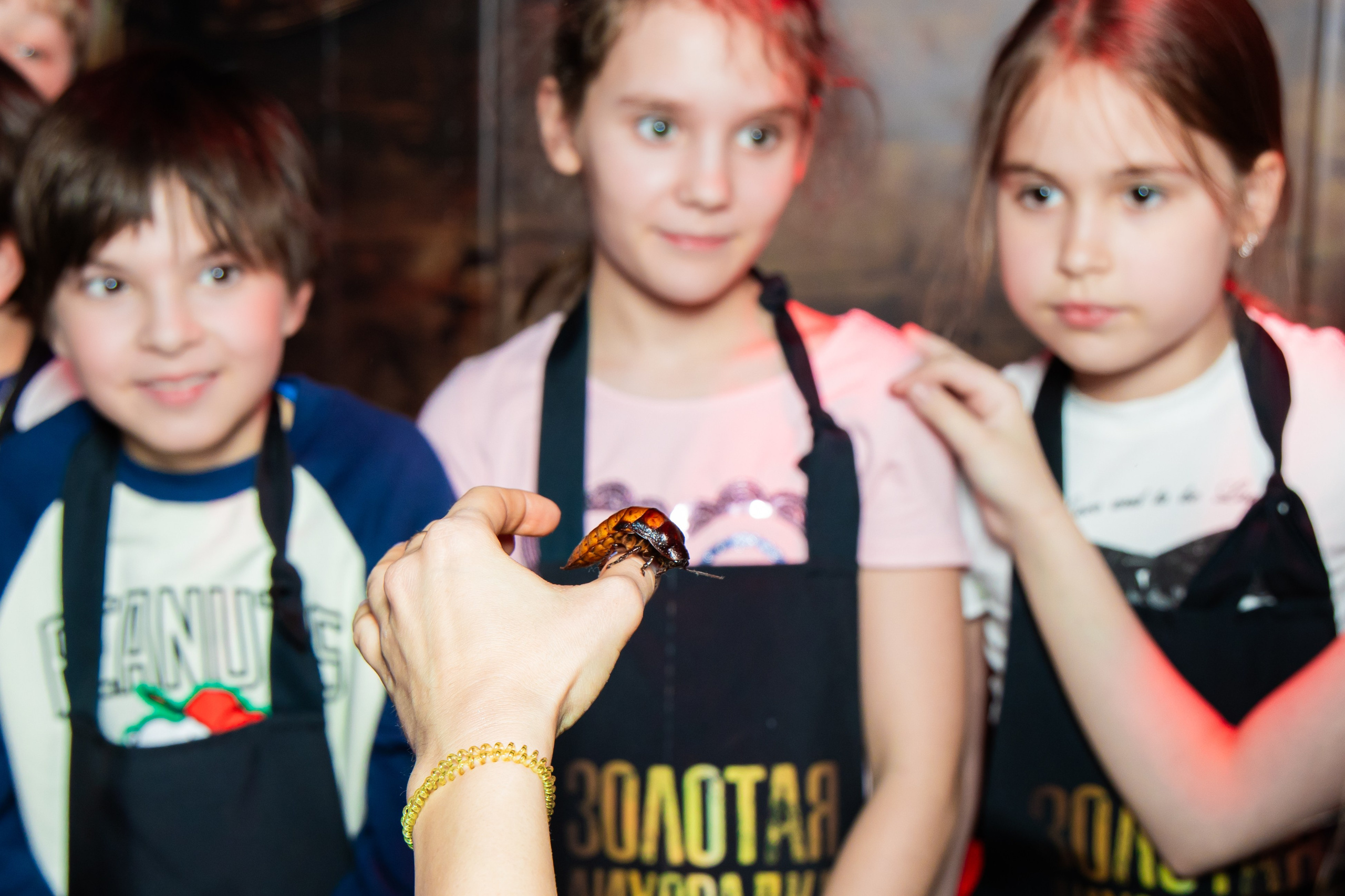 Золотая лихорадка 04/04 Vegas. Виктория Литвинова репортажный фотограф Москва