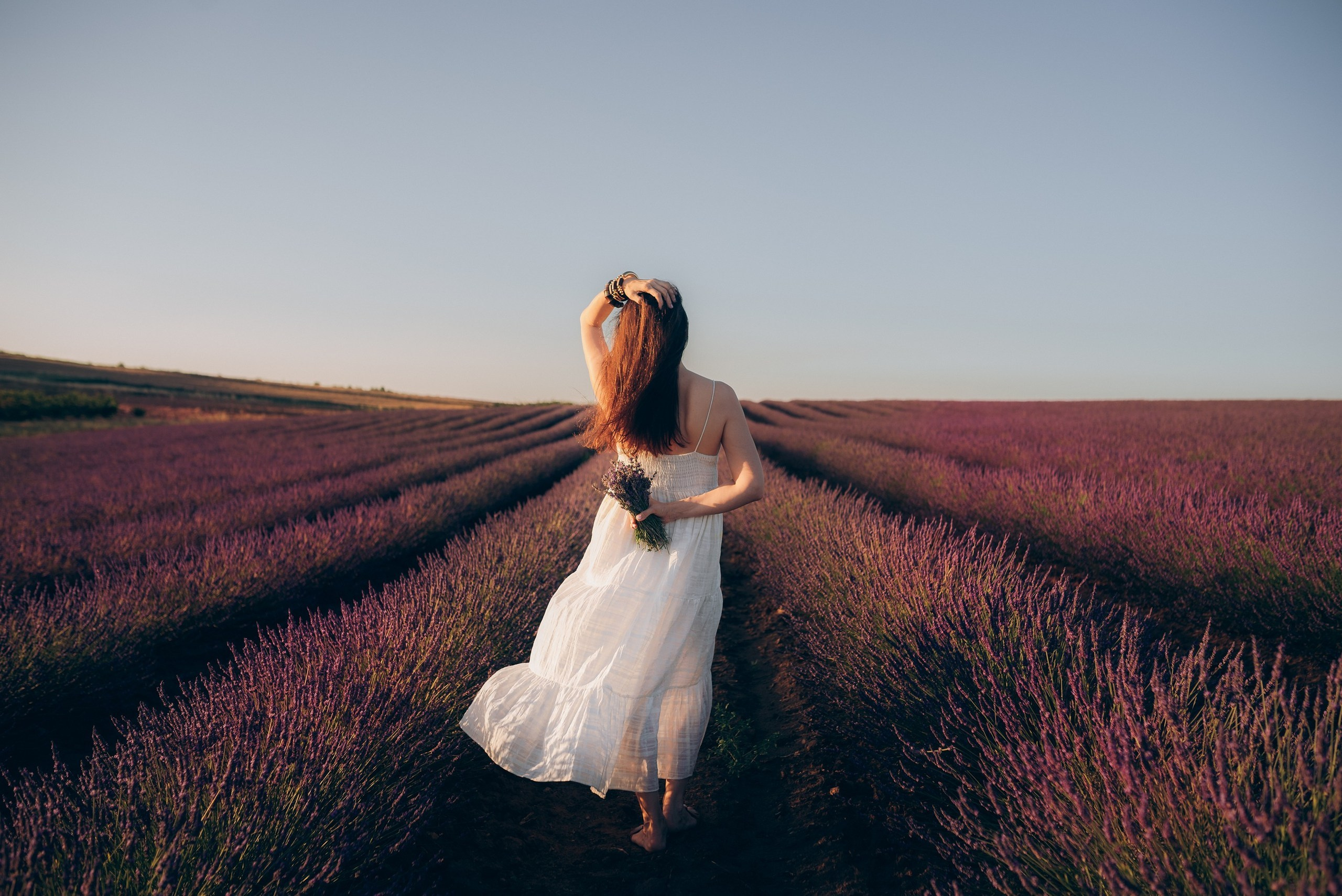 Лаванда в Болгарии. Фотограф в Болгарии. Фотограф в Созополе