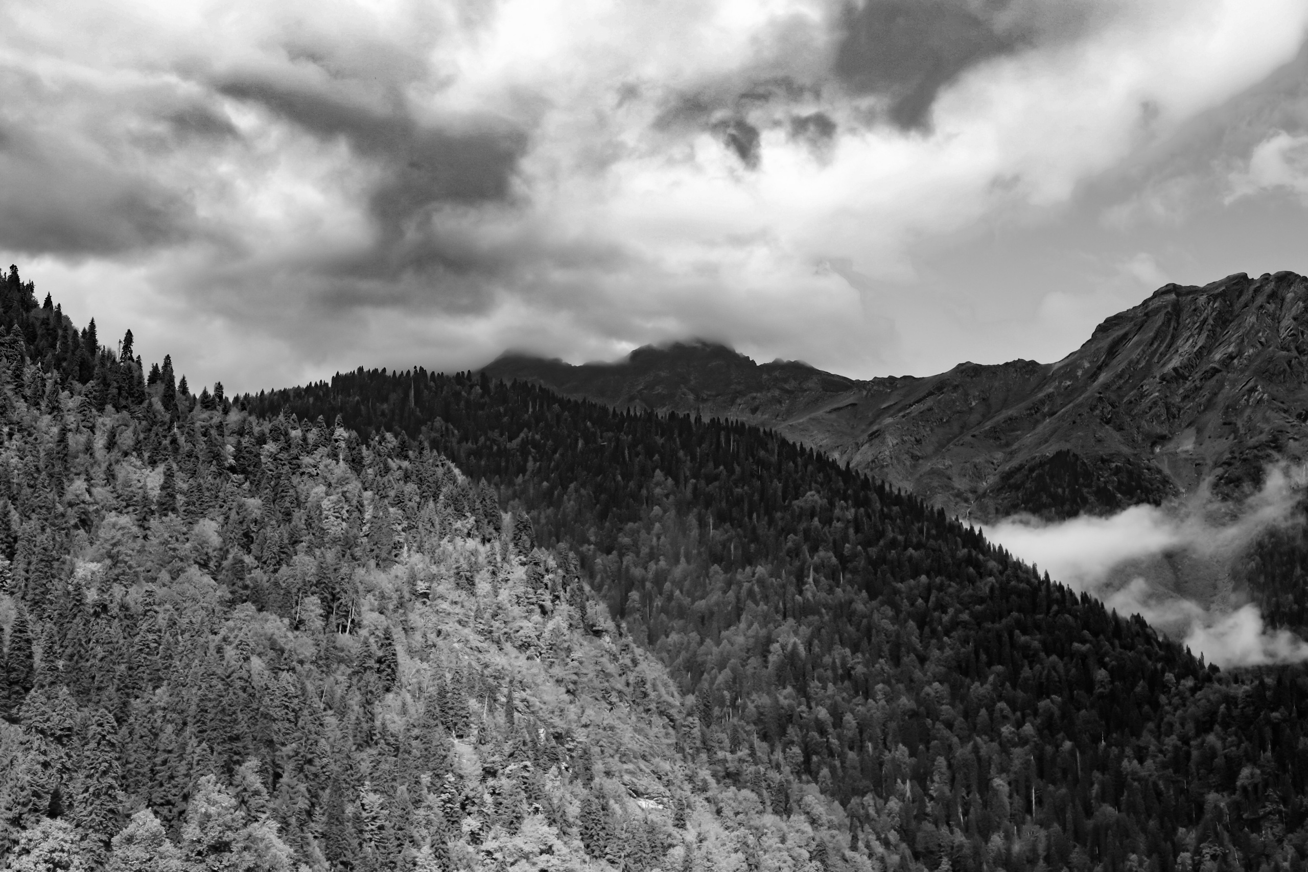 Пейзаж. Ekaterina Beridze