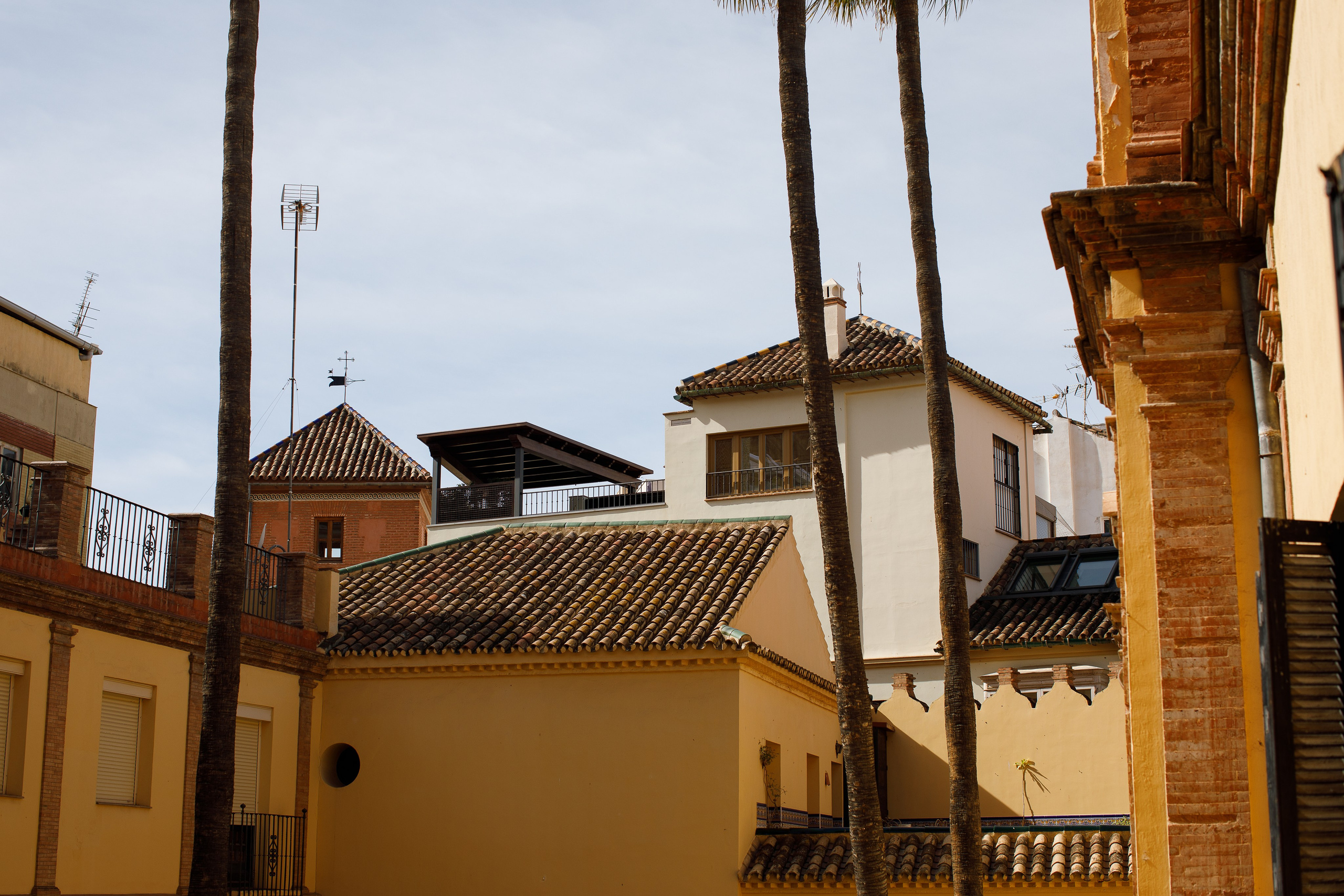 Малага 2024. Репортажный и портретный фотограф Русакова Жанна