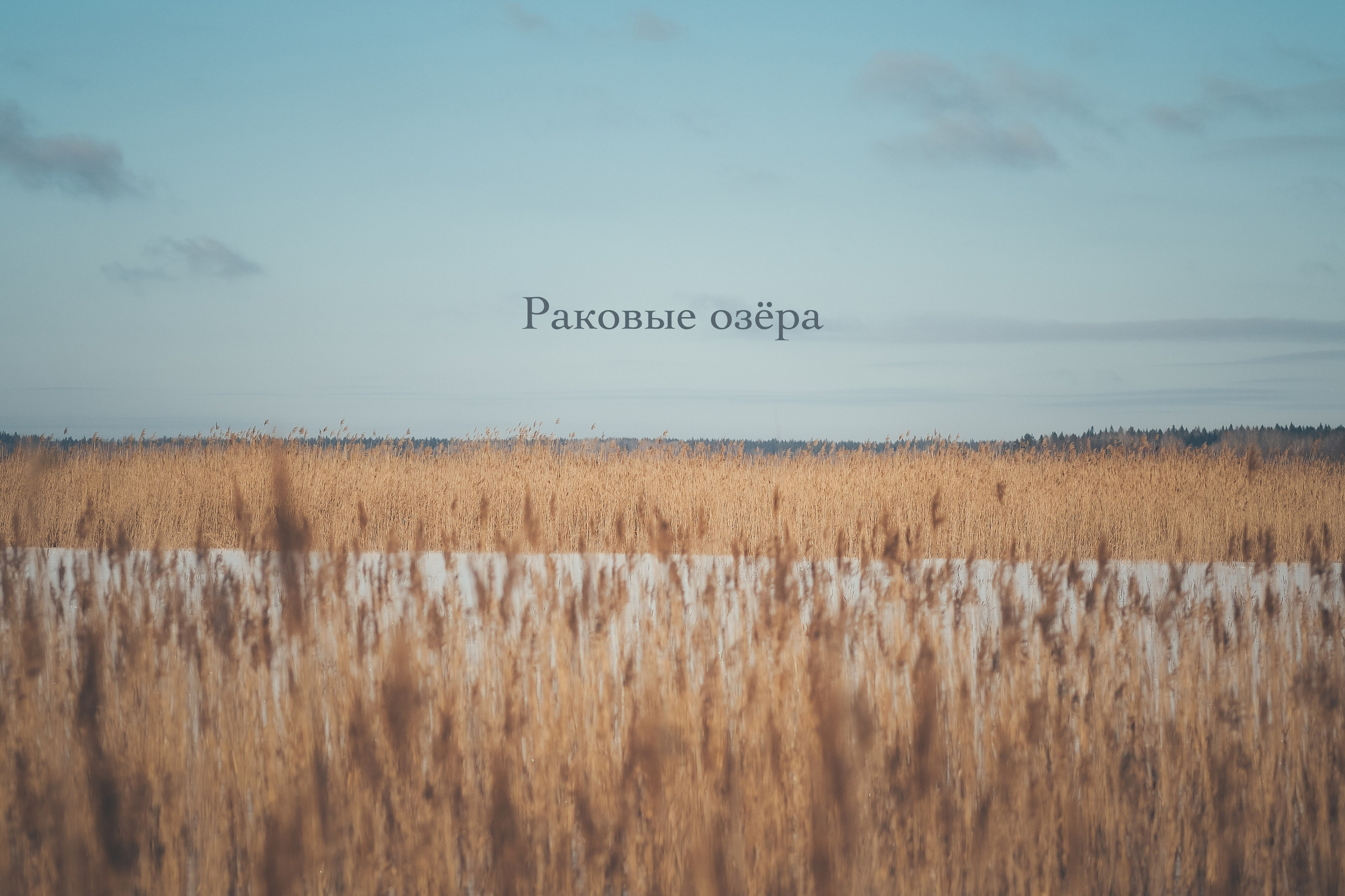 Раковые озера. Свадебный фотограф Копков Геннадий