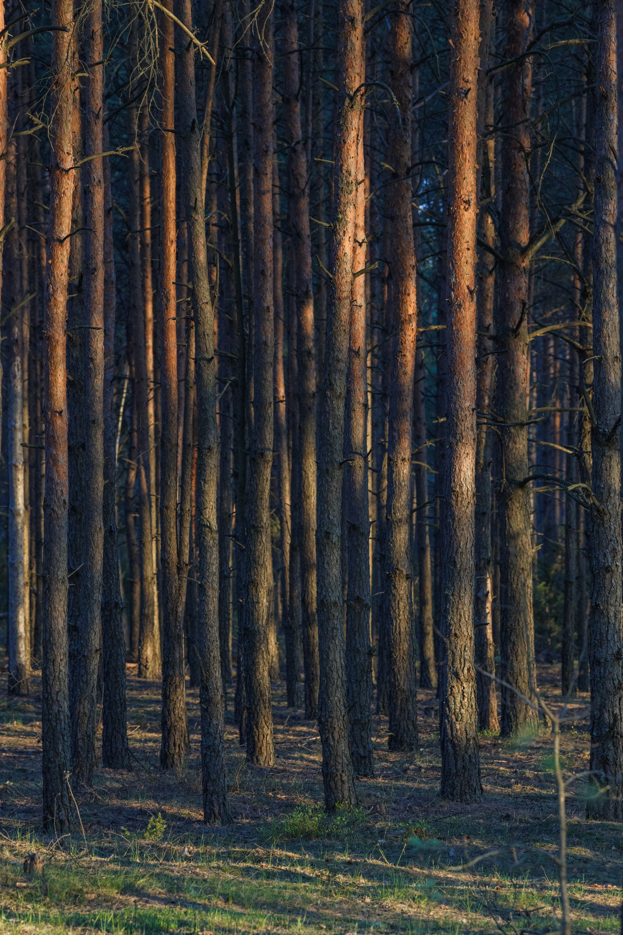 Водный поход 1-й кс по реке Случь. Репортажный фотограф Владимир Беляй