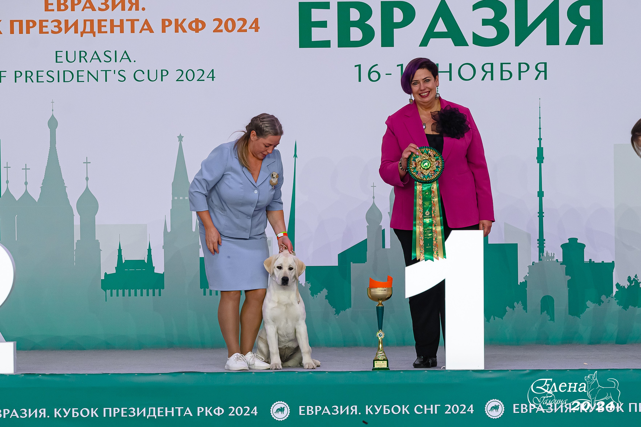 Главная. Фотограф анималист Елена Галдина г. Красноярск