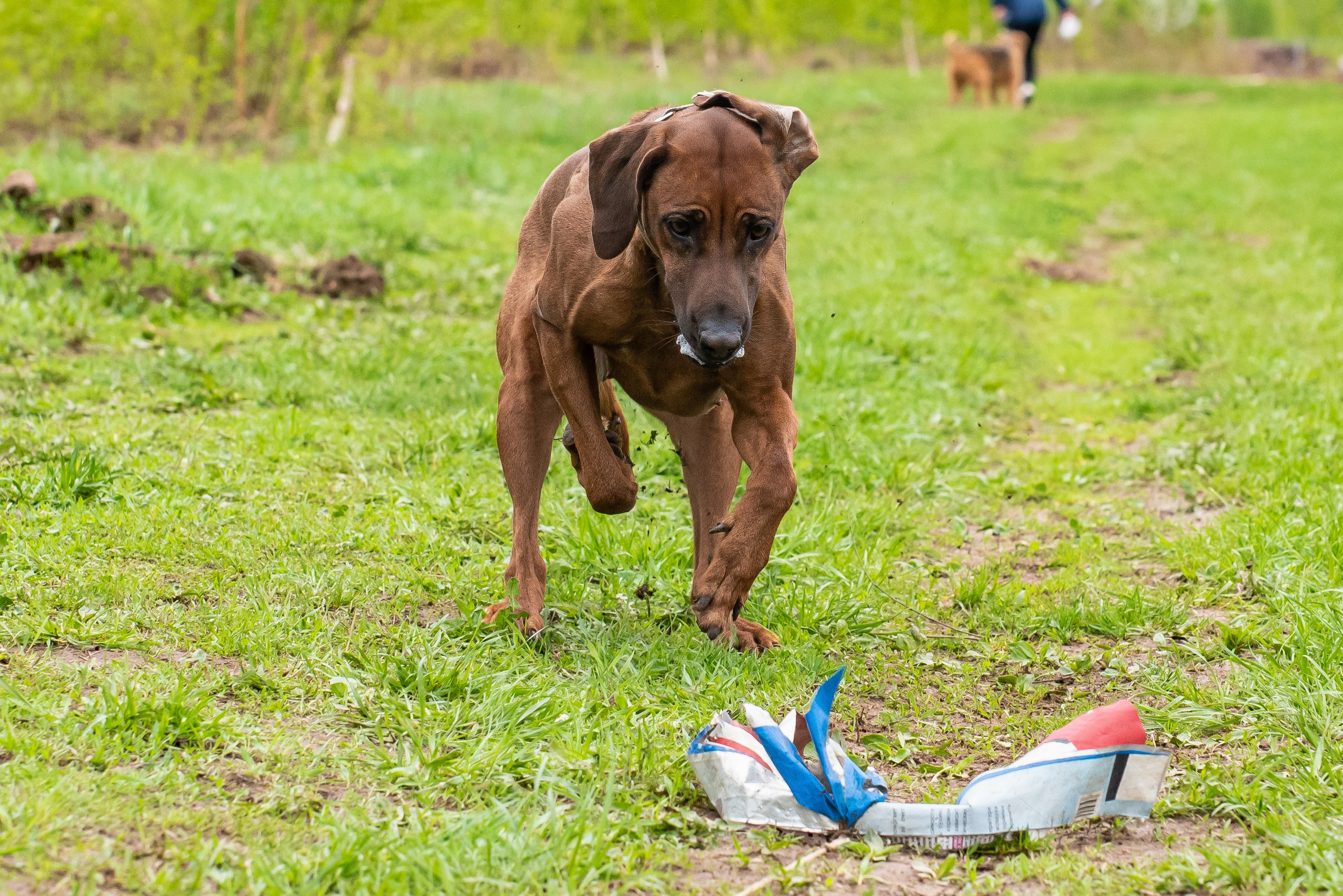 Фотографии с Курсинга. Фотограф Макс Огурцов в Нижнем Новгороде