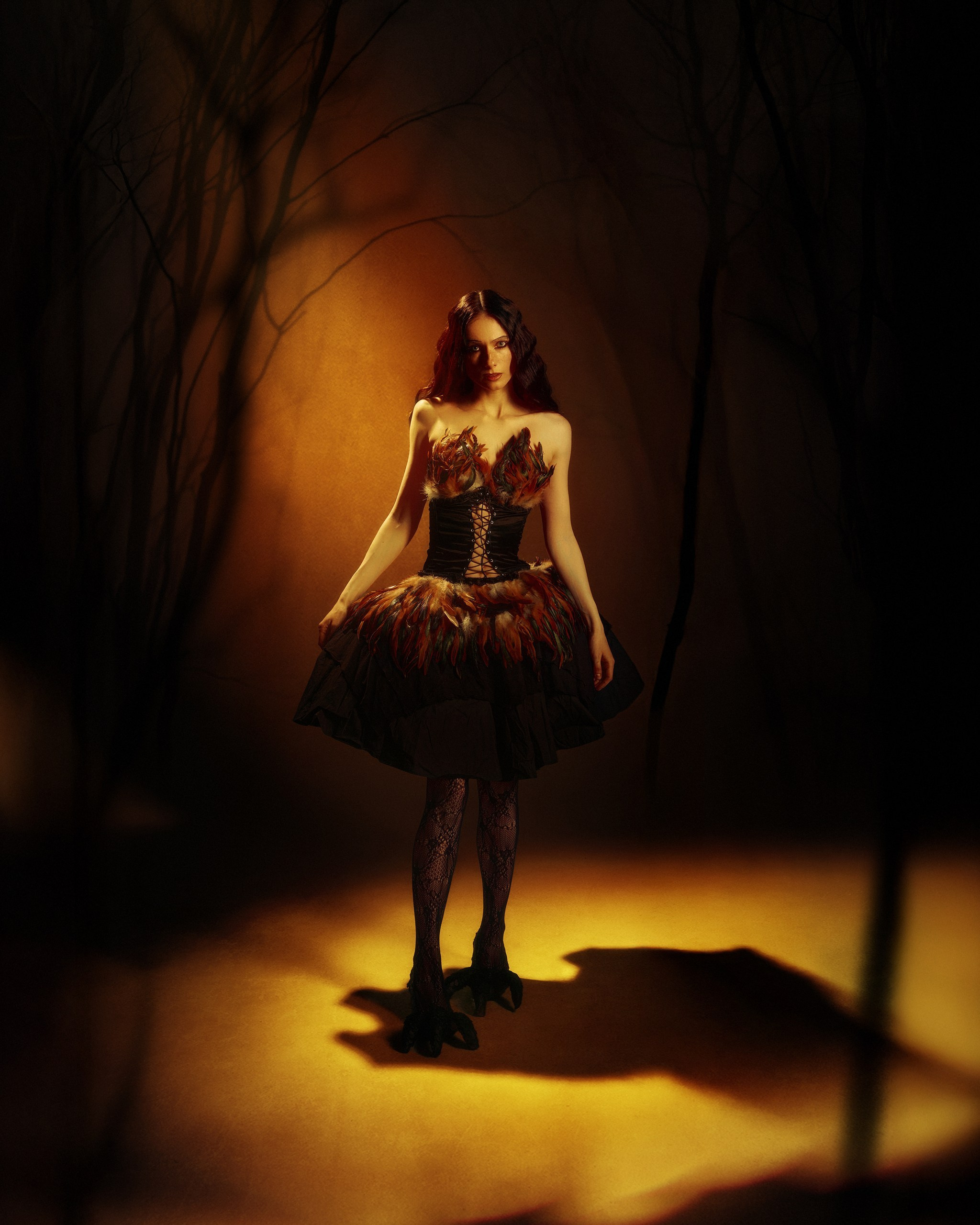 Bird. ГЛАВНАЯ