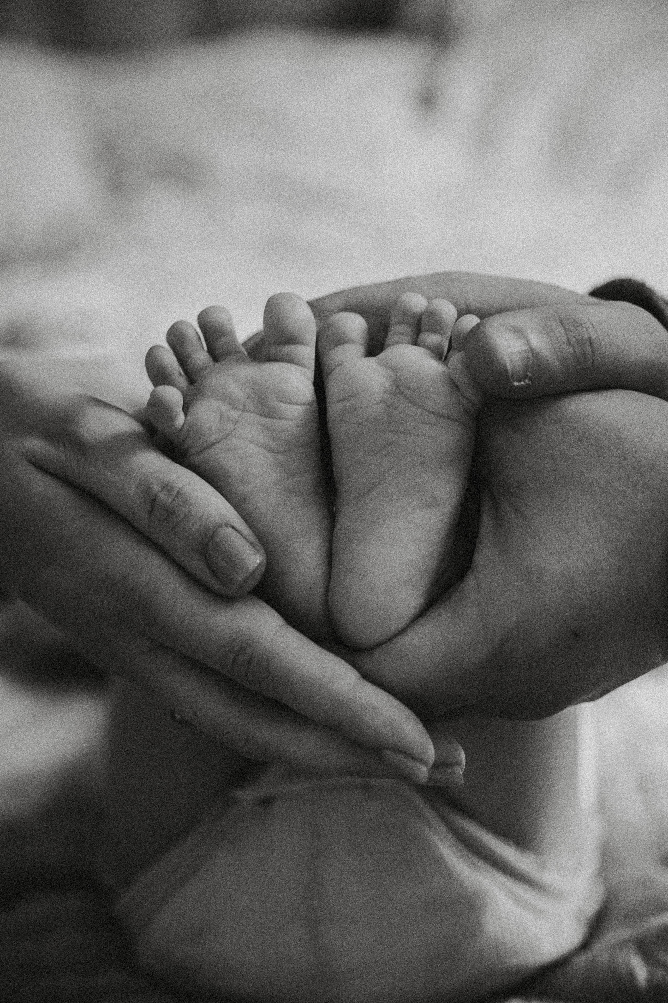 Настя Макс и Алиса. Домашняя уютная фотосессия. Свадебный, семейный и женский фотограф в Москве Аникина Ольга