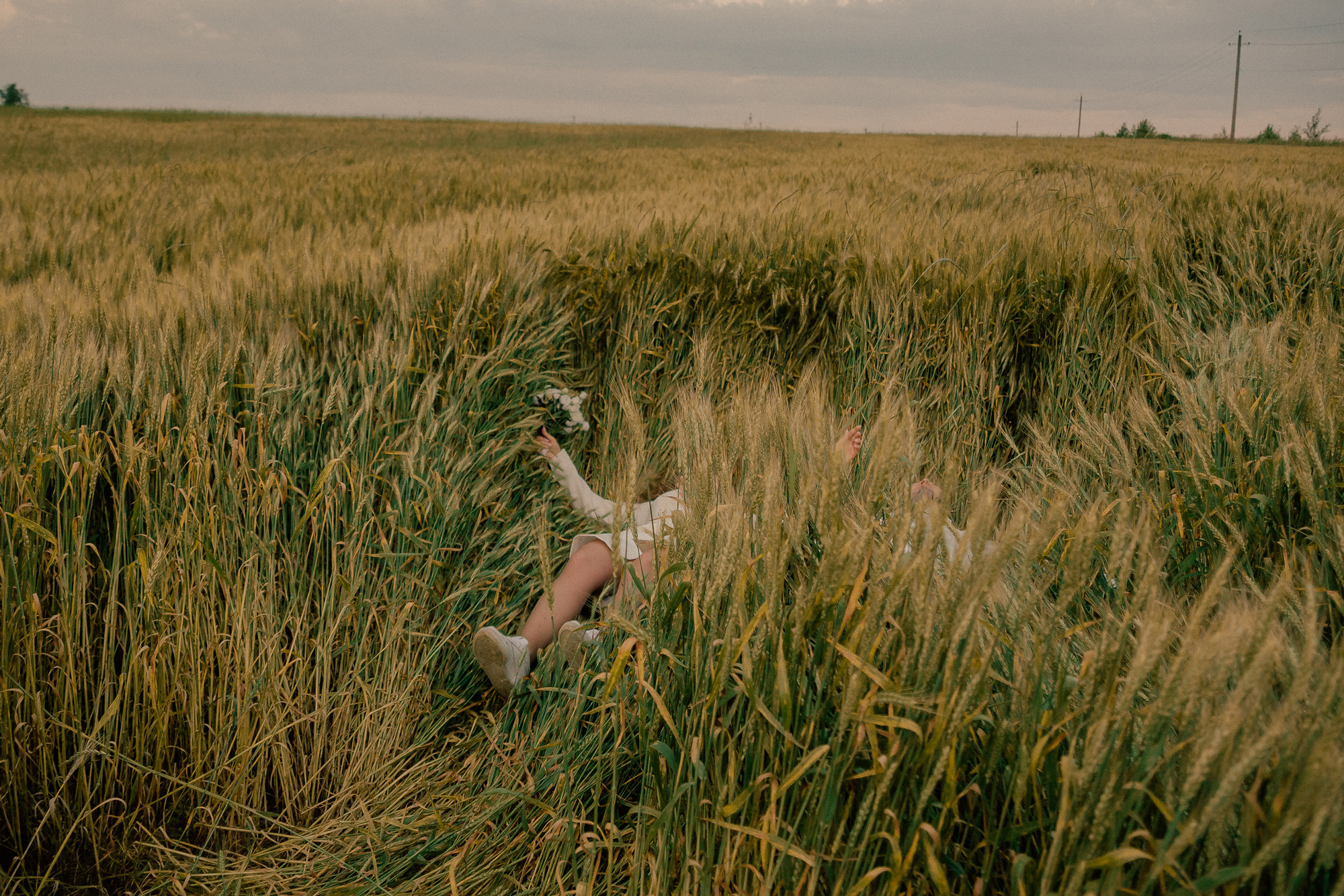 Маша Лёша. Свадьба в поле. Свадебный, семейный и женский фотограф в Москве Аникина Ольга