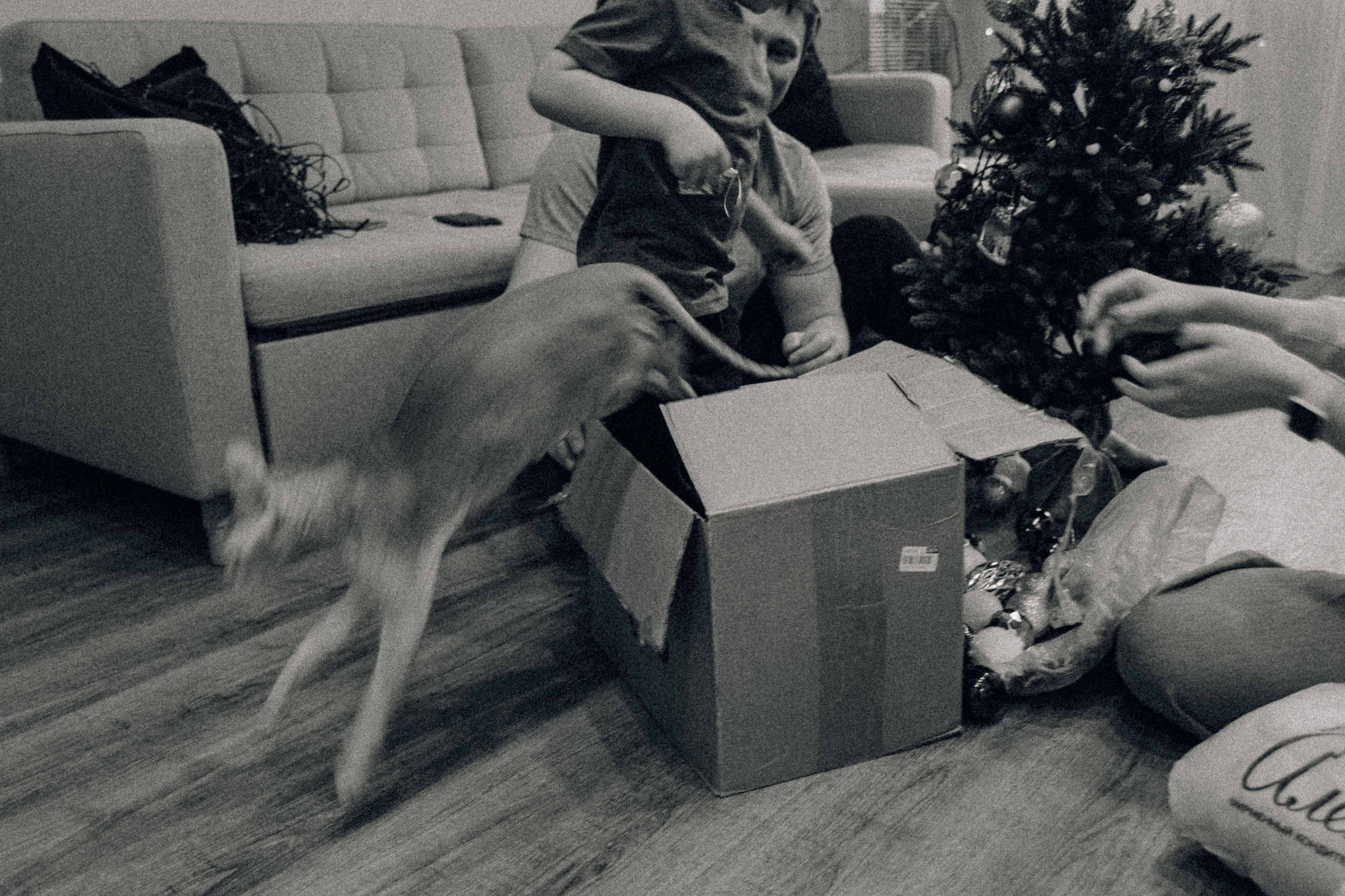 Аня Лёша Ростик и кот Маффин. Домашняя история с пряником и театром теней. Свадебный, семейный и женский фотограф в Москве Аникина Ольга