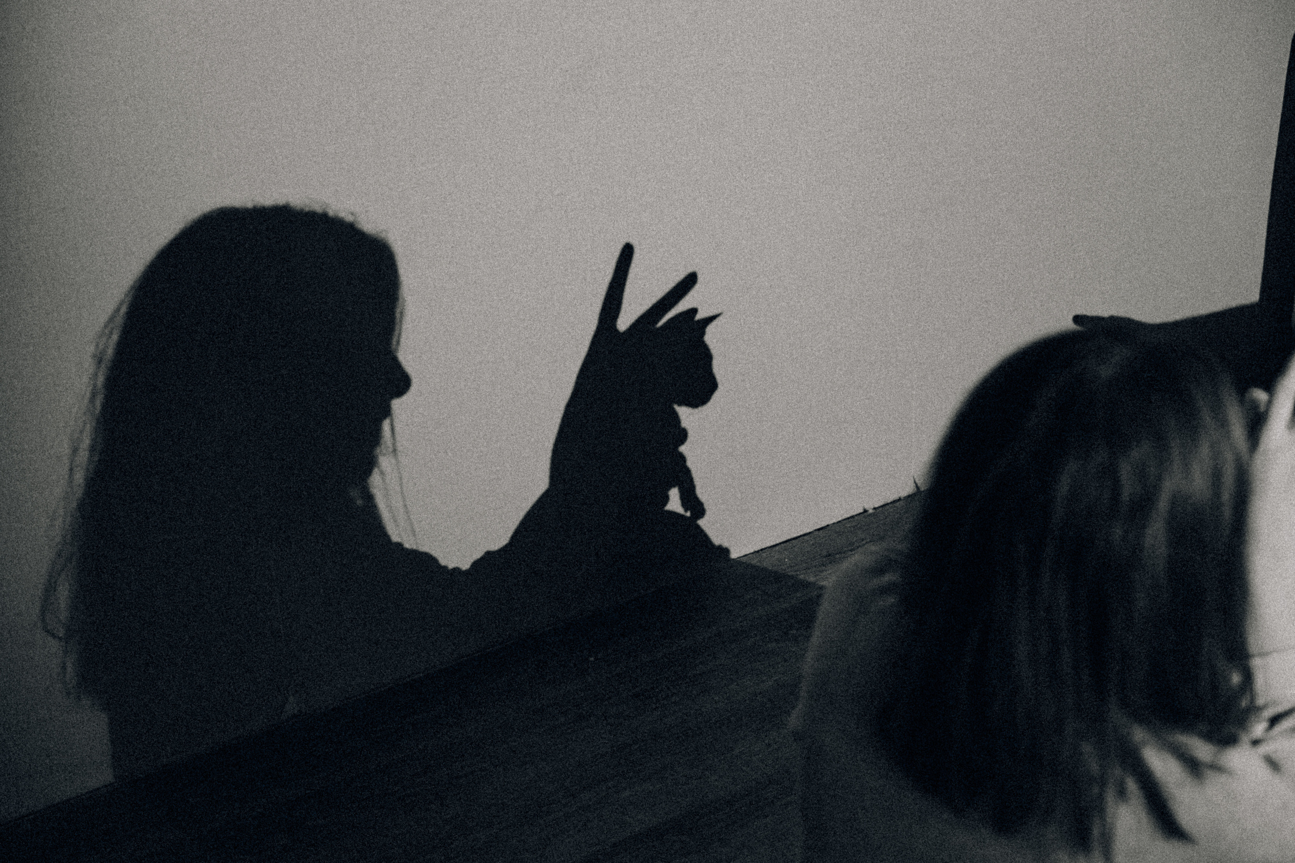 Аня Лёша Ростик и кот Маффин. Домашняя история с пряником и театром теней. Свадебный, семейный и женский фотограф в Москве Аникина Ольга