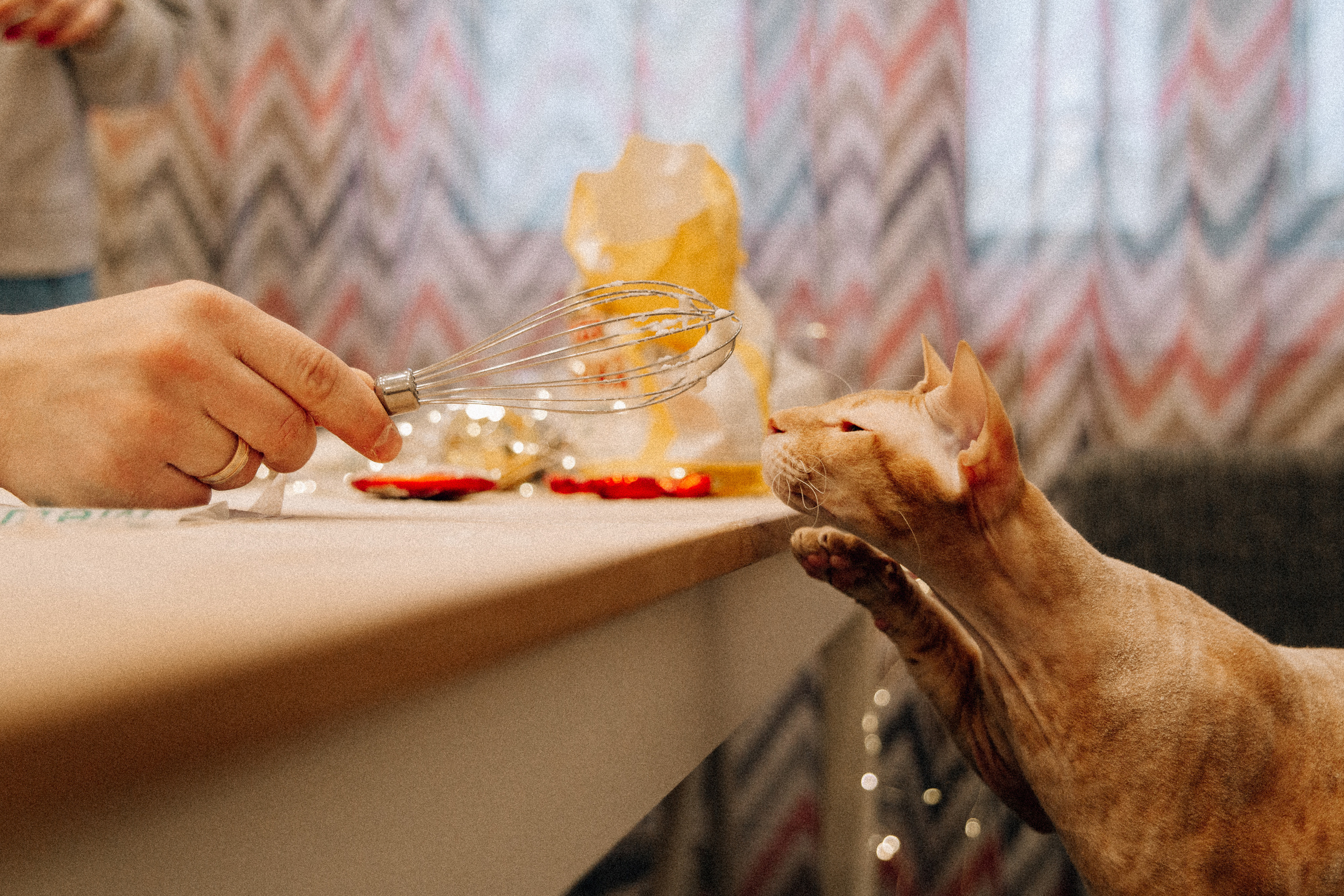 Аня Лёша Ростик и кот Маффин. Домашняя история с пряником и театром теней. Свадебный, семейный и женский фотограф в Москве Аникина Ольга