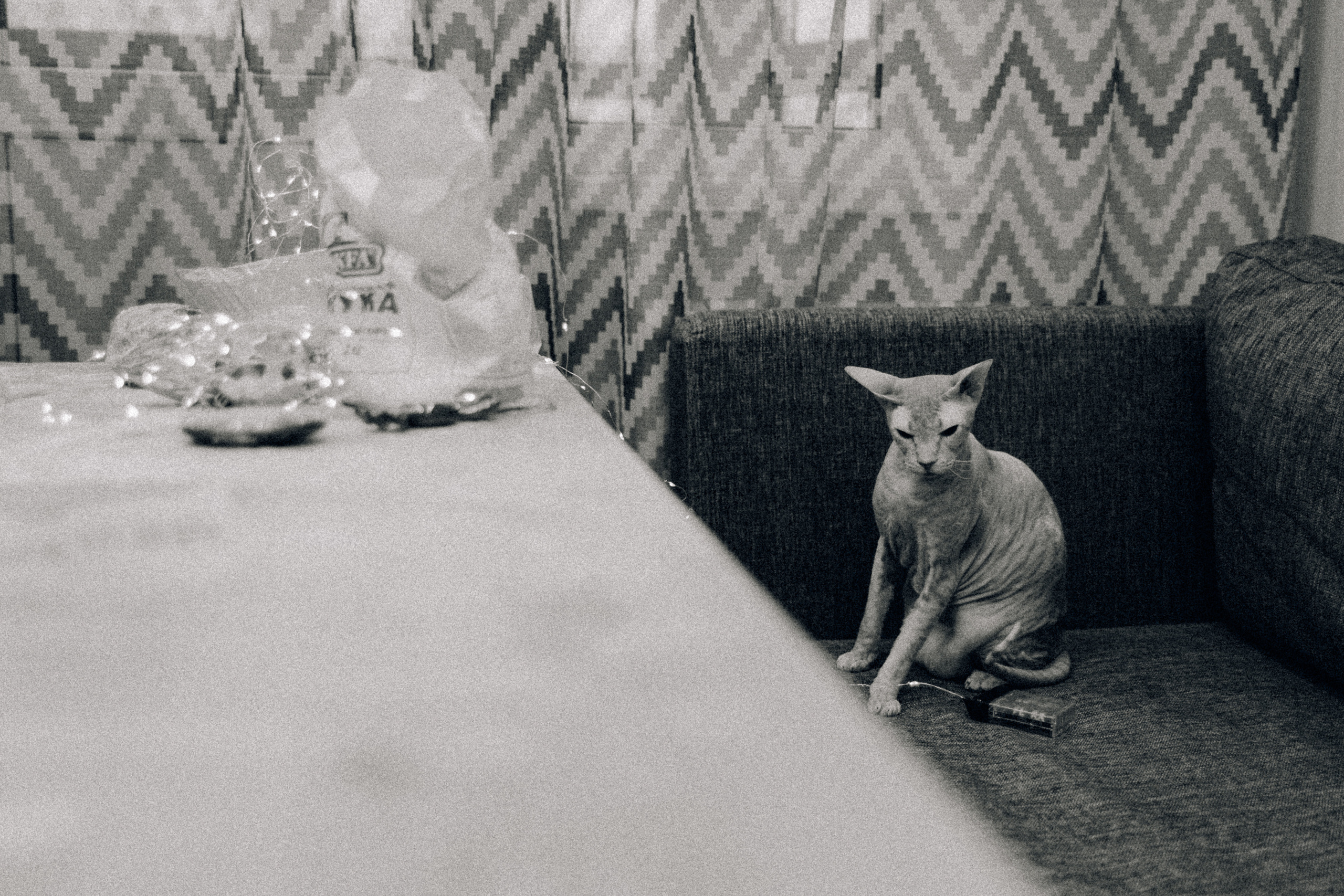 Аня Лёша Ростик и кот Маффин. Домашняя история с пряником и театром теней. Свадебный, семейный и женский фотограф в Москве Аникина Ольга