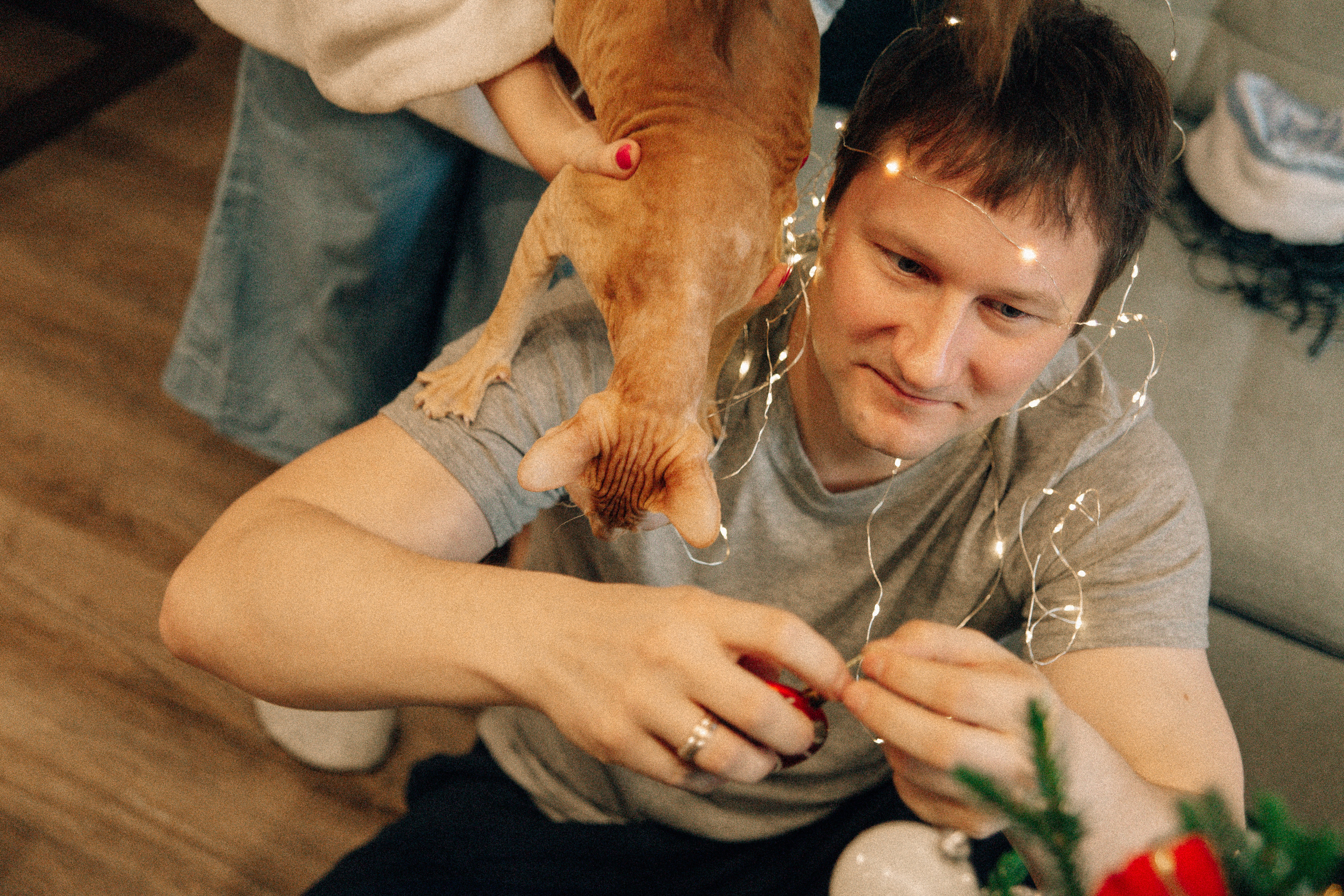 Аня Лёша Ростик и кот Маффин. Домашняя история с пряником и театром теней. Свадебный, семейный и женский фотограф в Москве Аникина Ольга