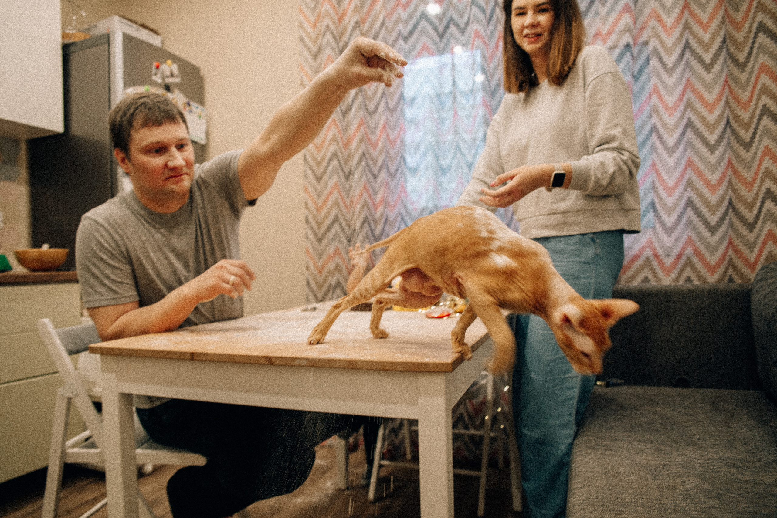 Аня Лёша Ростик и кот Маффин. Домашняя история с пряником и театром теней. Свадебный, семейный и женский фотограф в Москве Аникина Ольга