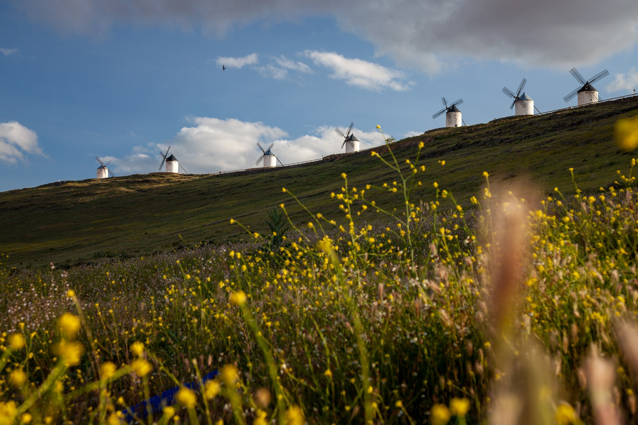 Consuegra España Molinos de viento de Don Quijote en la provincia de Toledo, Испания 2010. Фотограф Василий Буланов