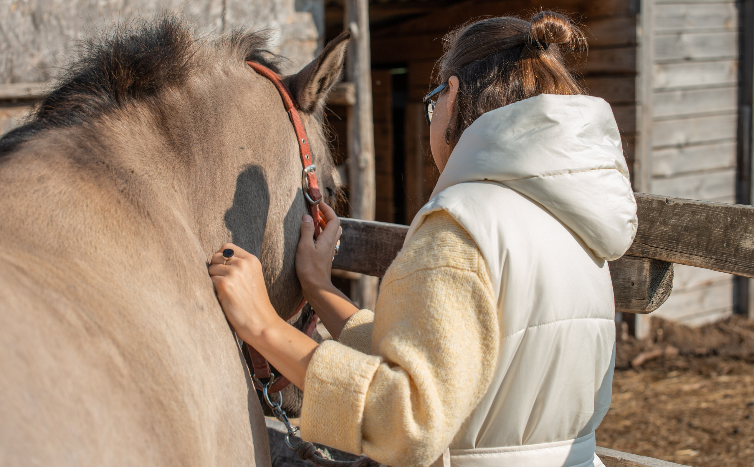 Гости в Родославном. Конный фотограф в Саратове Юлия Иванова