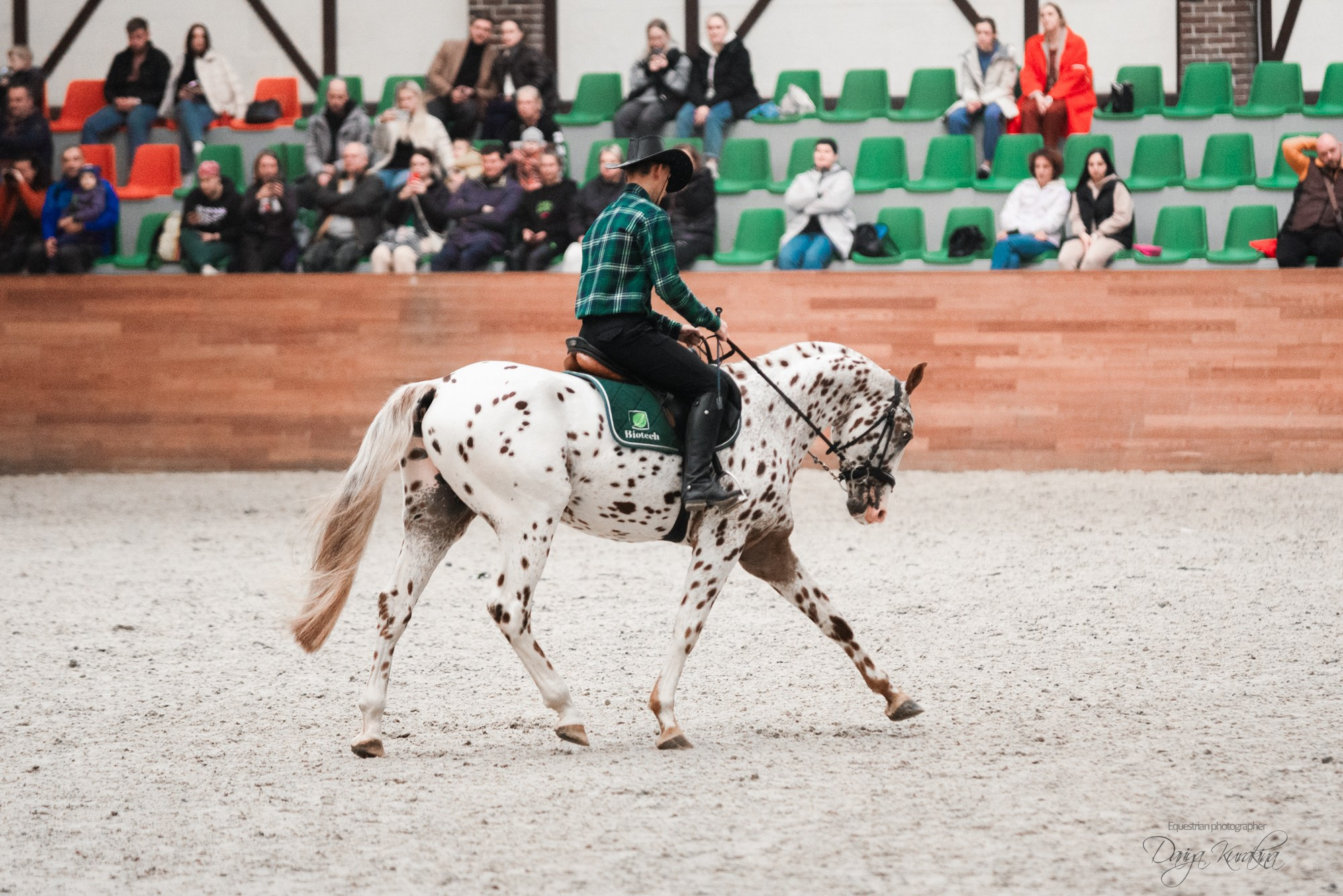 8-я международная выставка Конная Россия. Конный фотограф Куракина Дарья • Фотосессии с лошадьми