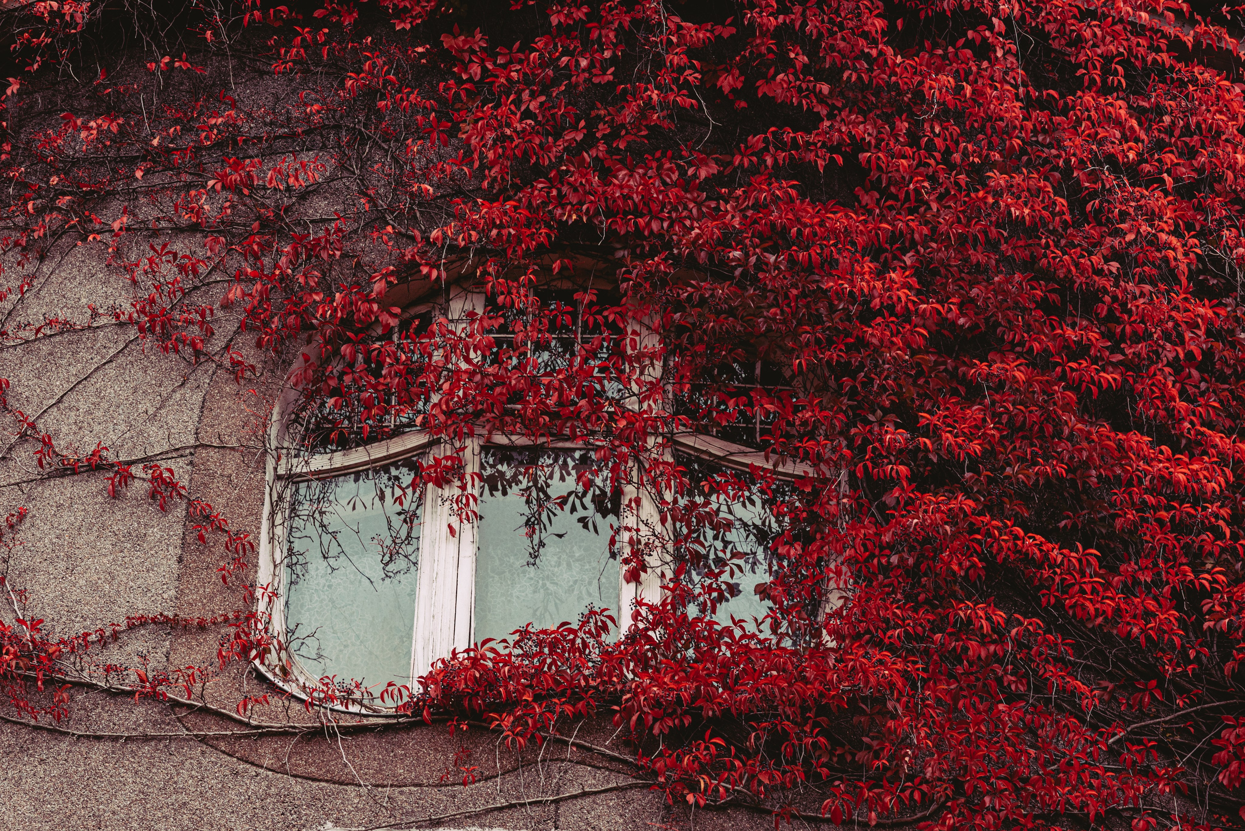 Калининград и его область: через объектив рекламного фотографа из Гуанчжо. Коммерческий и предметный фотограф в Гуанчжоу Коваленко Александр