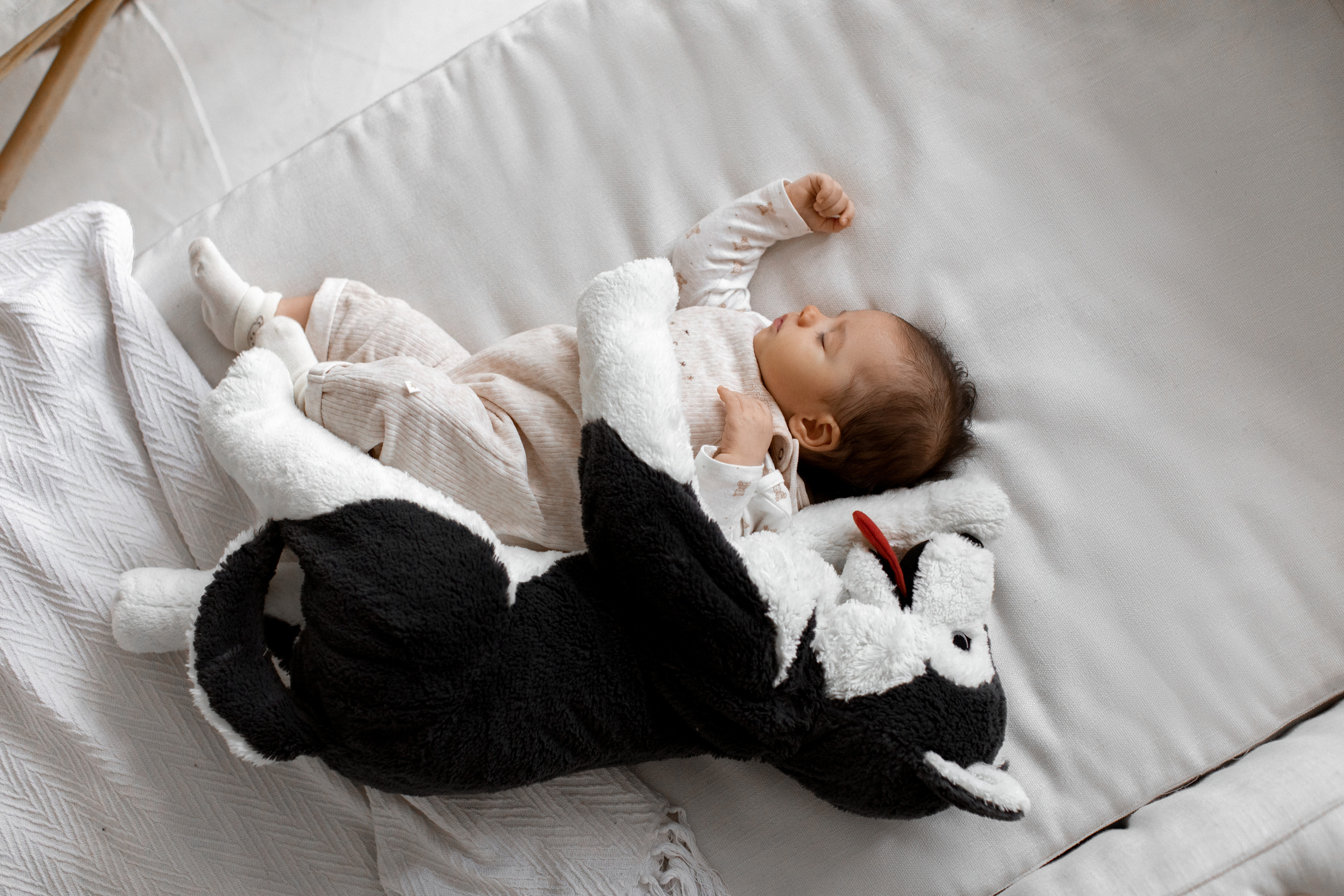 Малыш на кровати с собакой