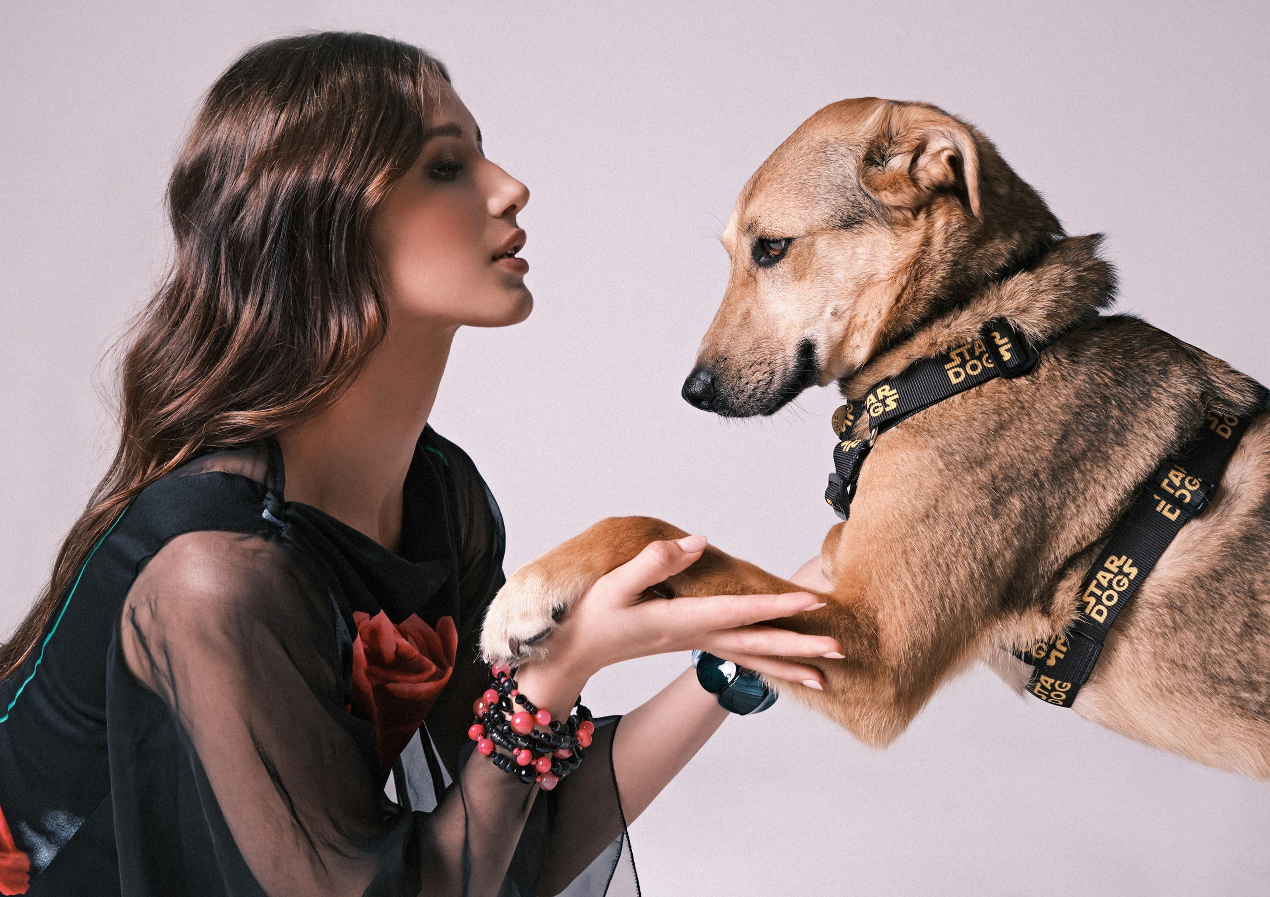 Благотворительная выставка в помощь бездомным животным. Фотограф Алексей Янбаев