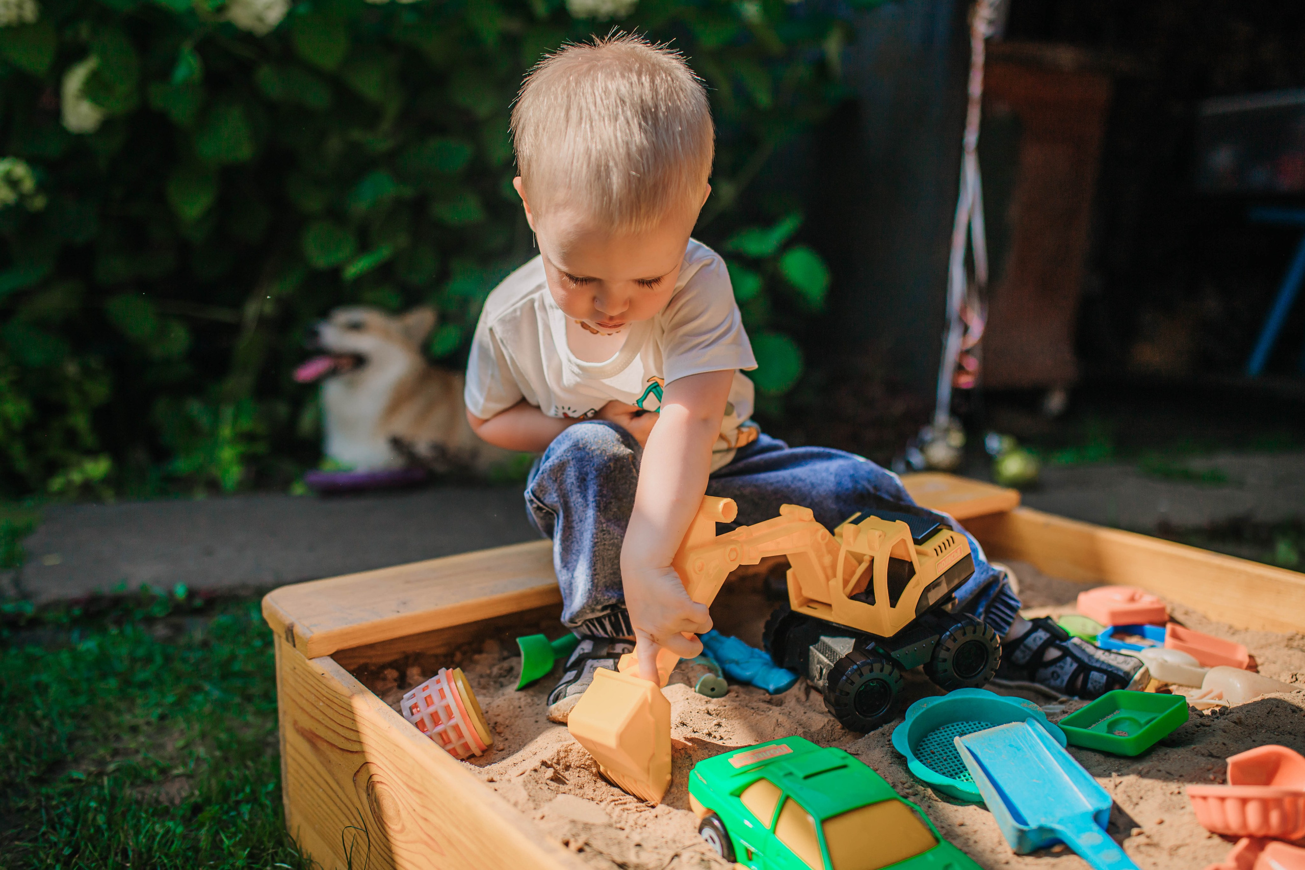 Тёме 2 годика!. Фотограф Дарья Маташкова