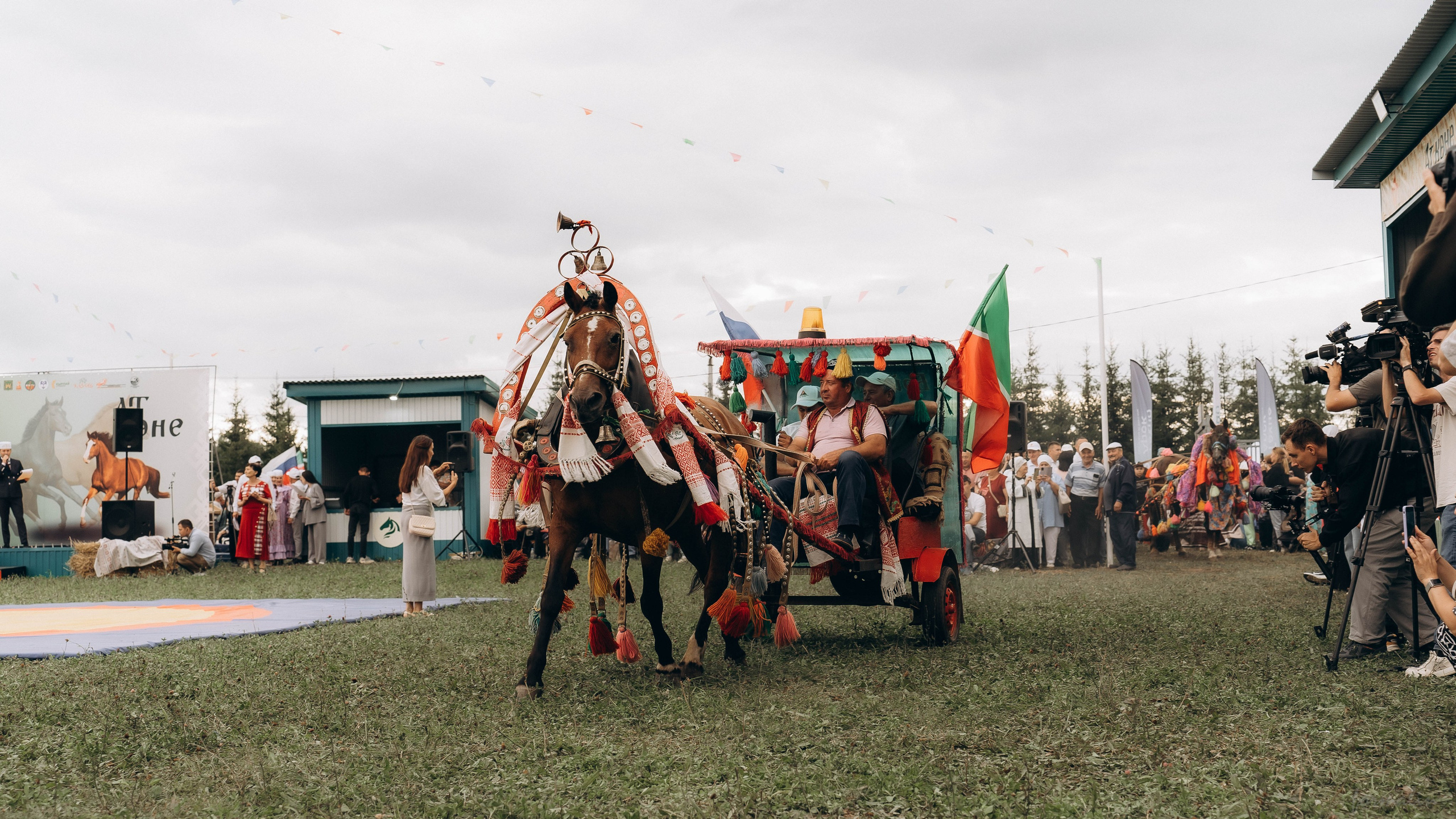 День Коня. Алиса Никитцова | Фотограф в Казани