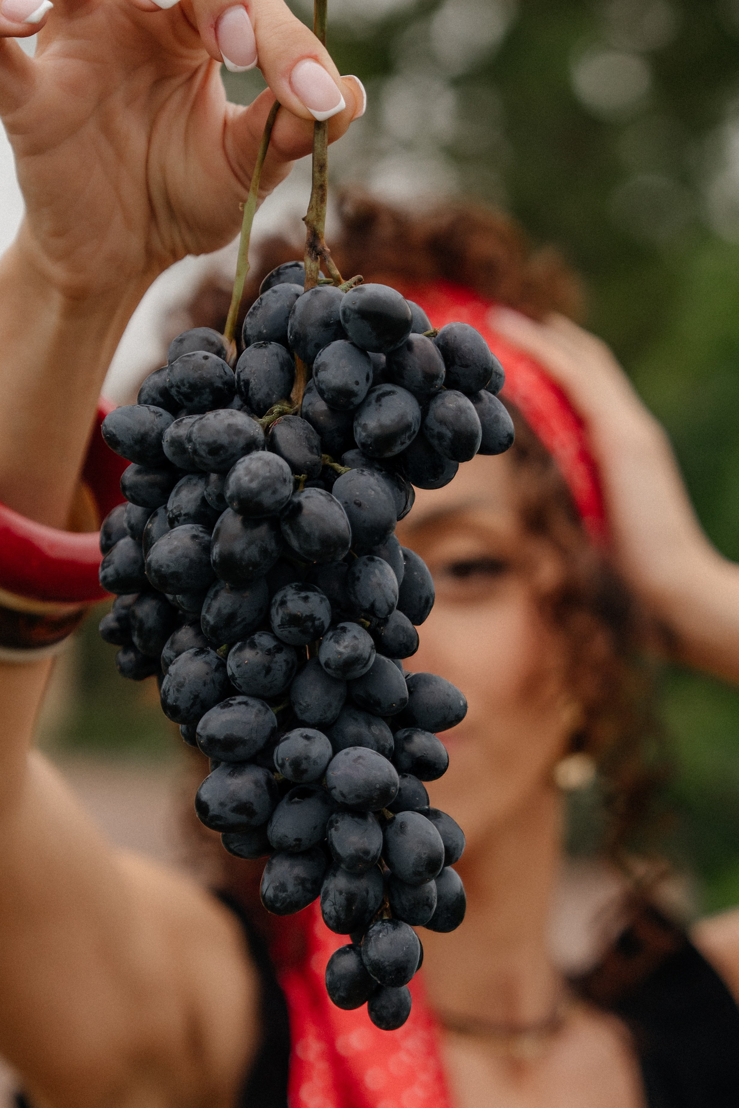 Итальянская история. Винодельня Хапры. Свадебный и семейный фотограф Надежда Соловьева