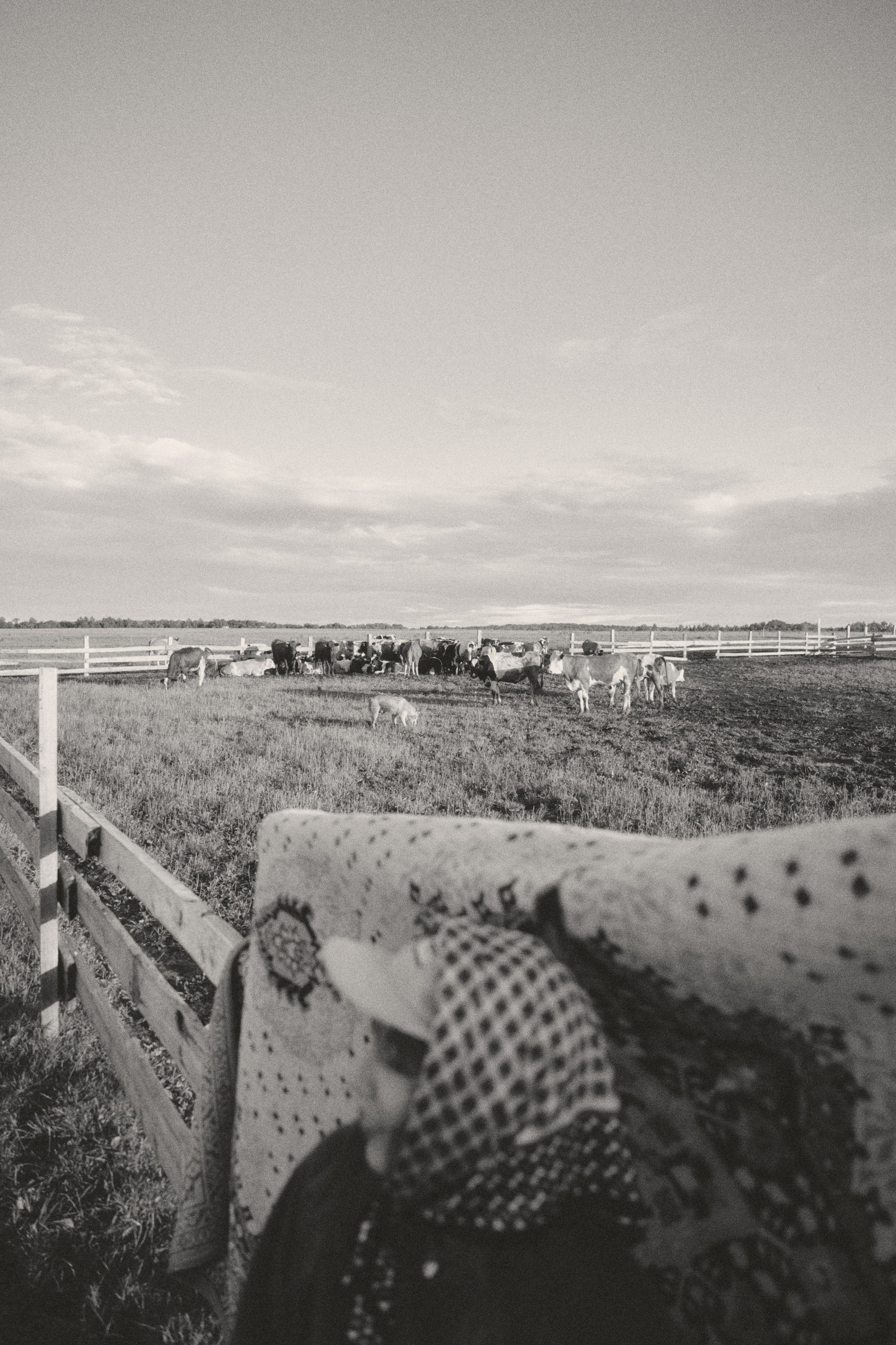 Женский портрет на природе — естественный свет и красота. Фотограф в Хабаровске Дмитрий Лемешков