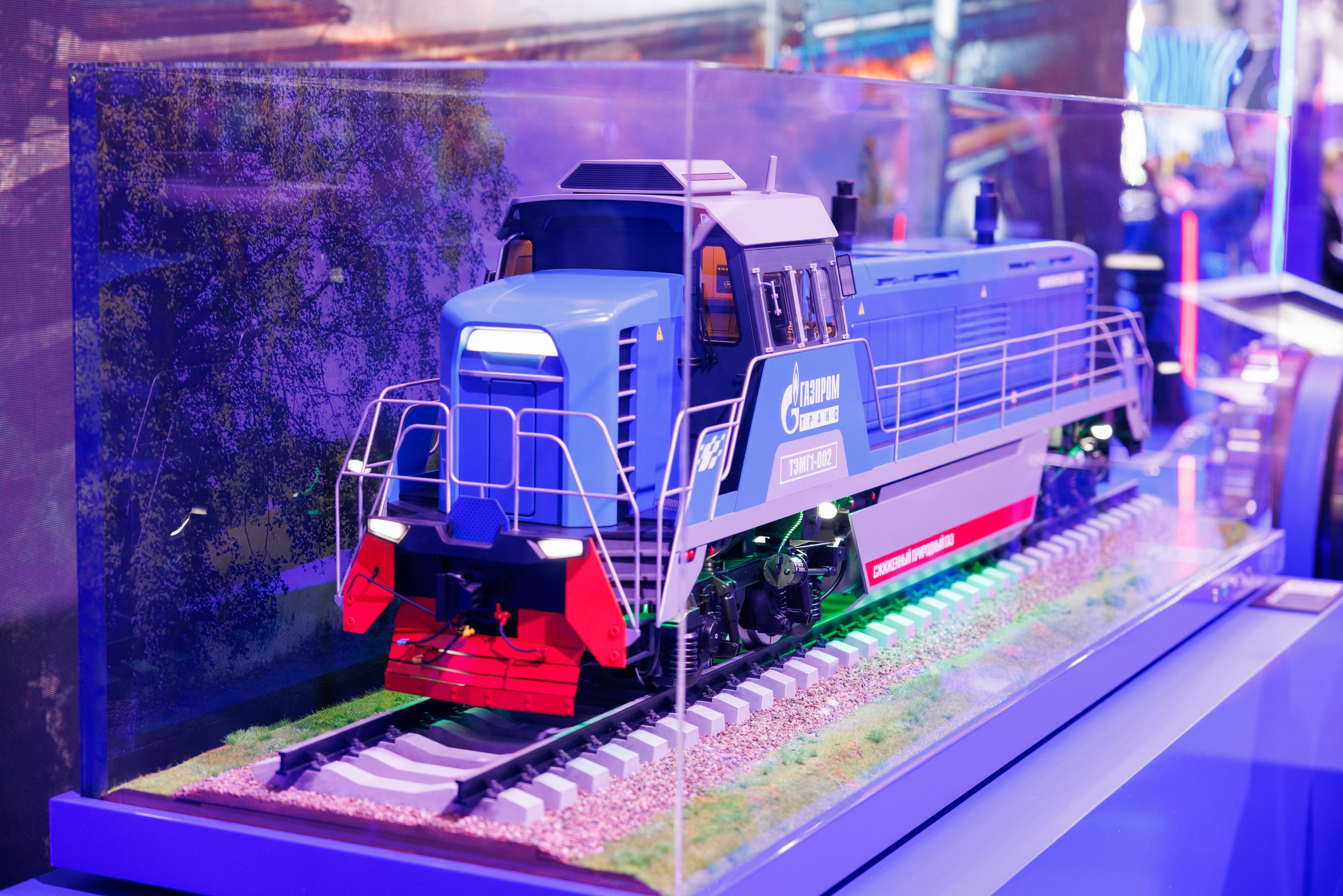 12 Петербургский международный газовый форум. Фотограф Александр Заломаев