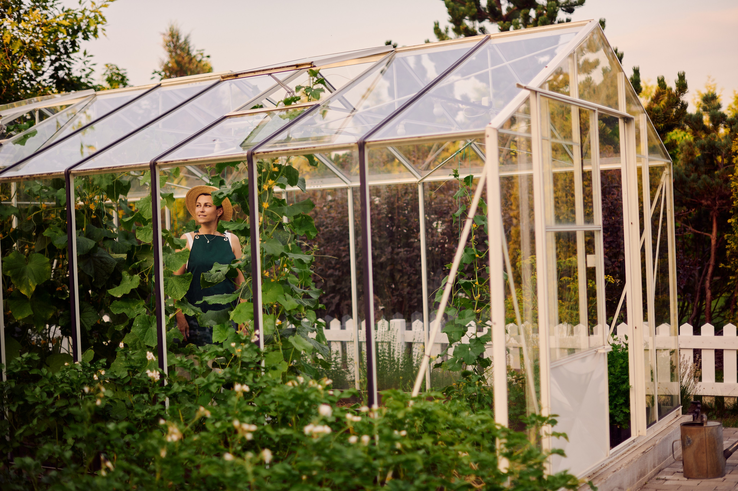 ОГУРЦЫ, ТЕПЛИЦА, САД :). Свадебный и семейный фотограф РИТА БОЧКАРЁВА