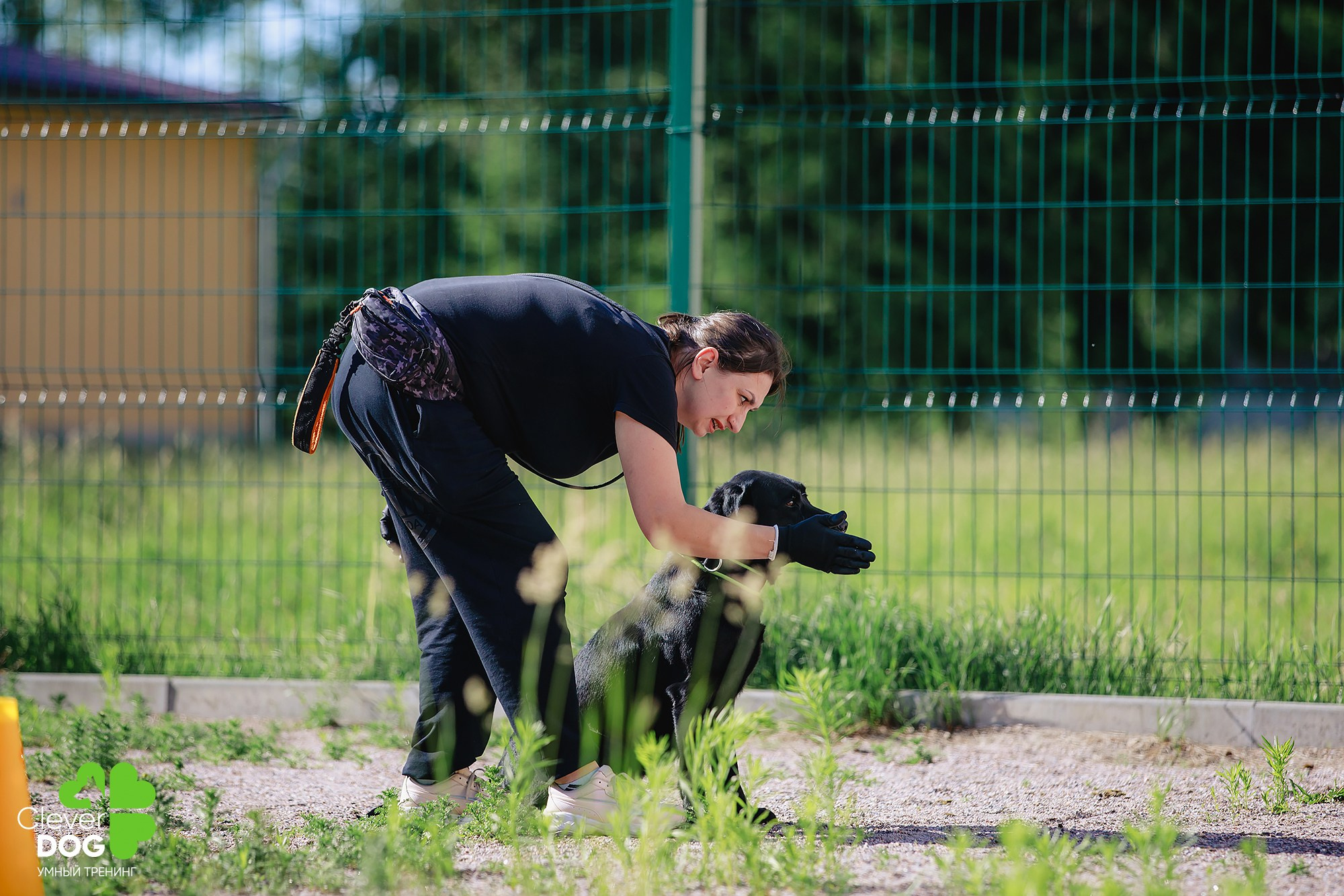 Семинар по поиску запаха с Иваном Ломовым, организатор CleverDog, СПб. Фотограф-анималист Mary Mart — Москва, Питер