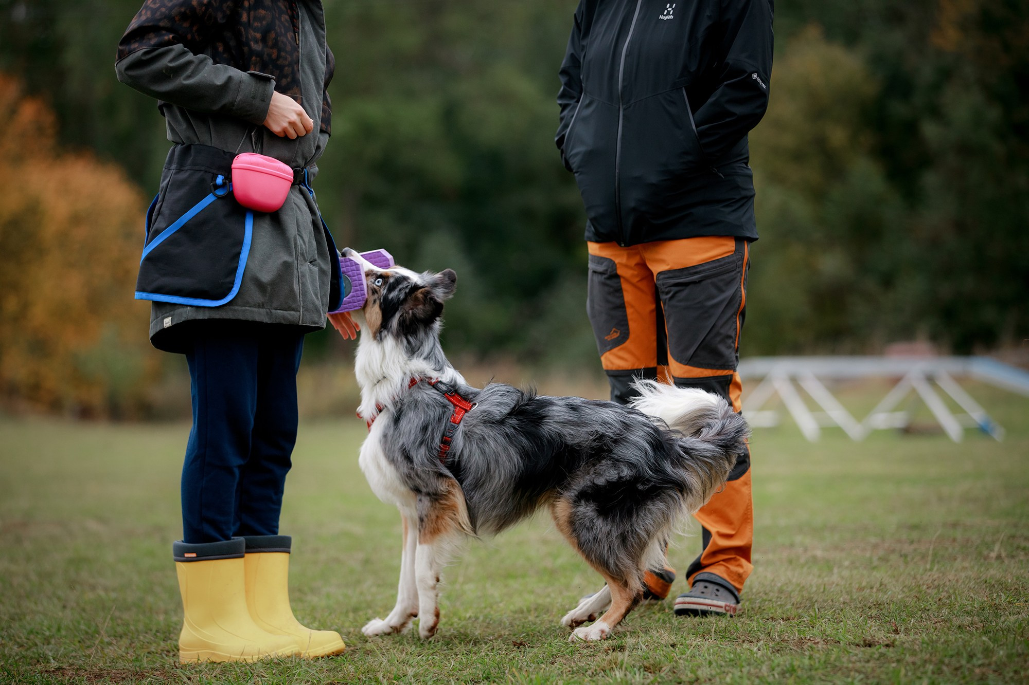 Лагерь по ОБД с Инной Баженовой. Фотограф-анималист Mary Mart — Москва, Питер