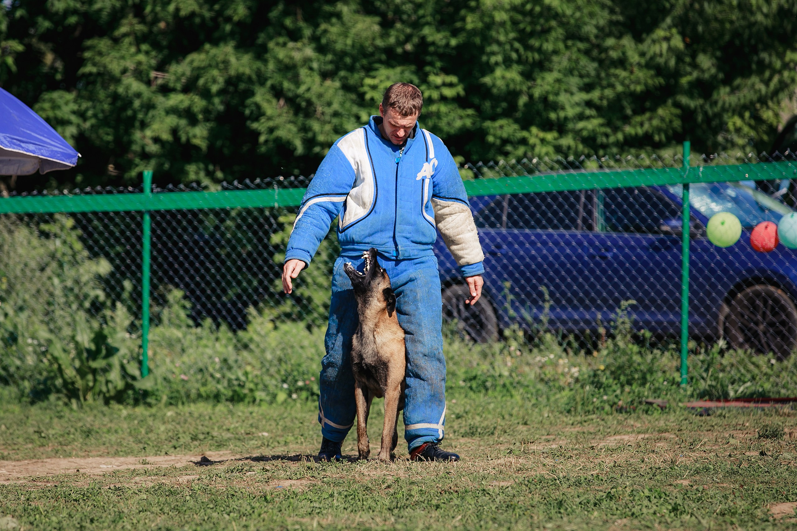 Мондьоринг М1, М2, М3, Вологда. Фотограф-анималист Mary Mart — Москва, Питер