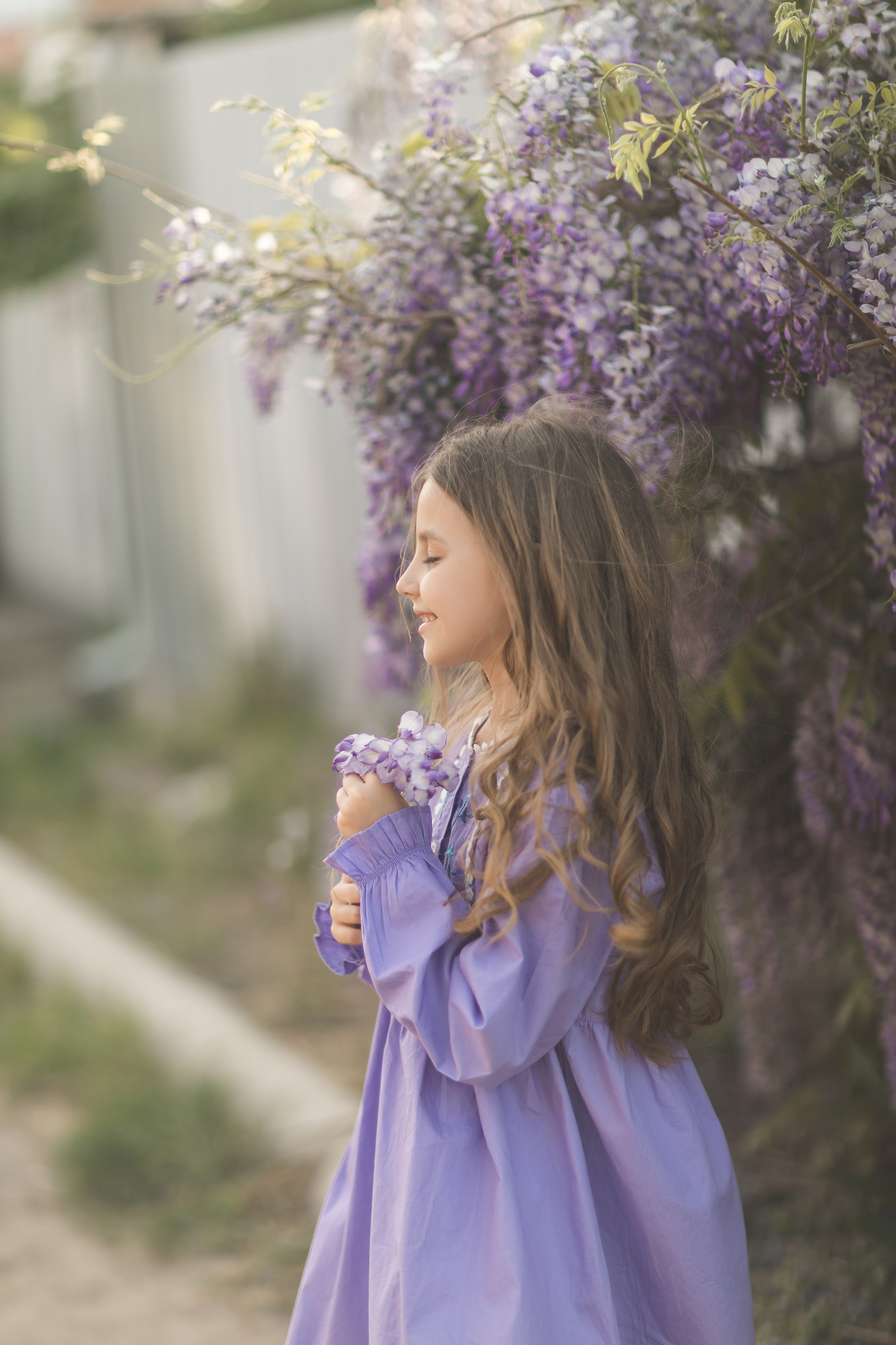 Глициния цветение в краснодаре. Семейный и детский фотограф Краснодар Валерия Власенко