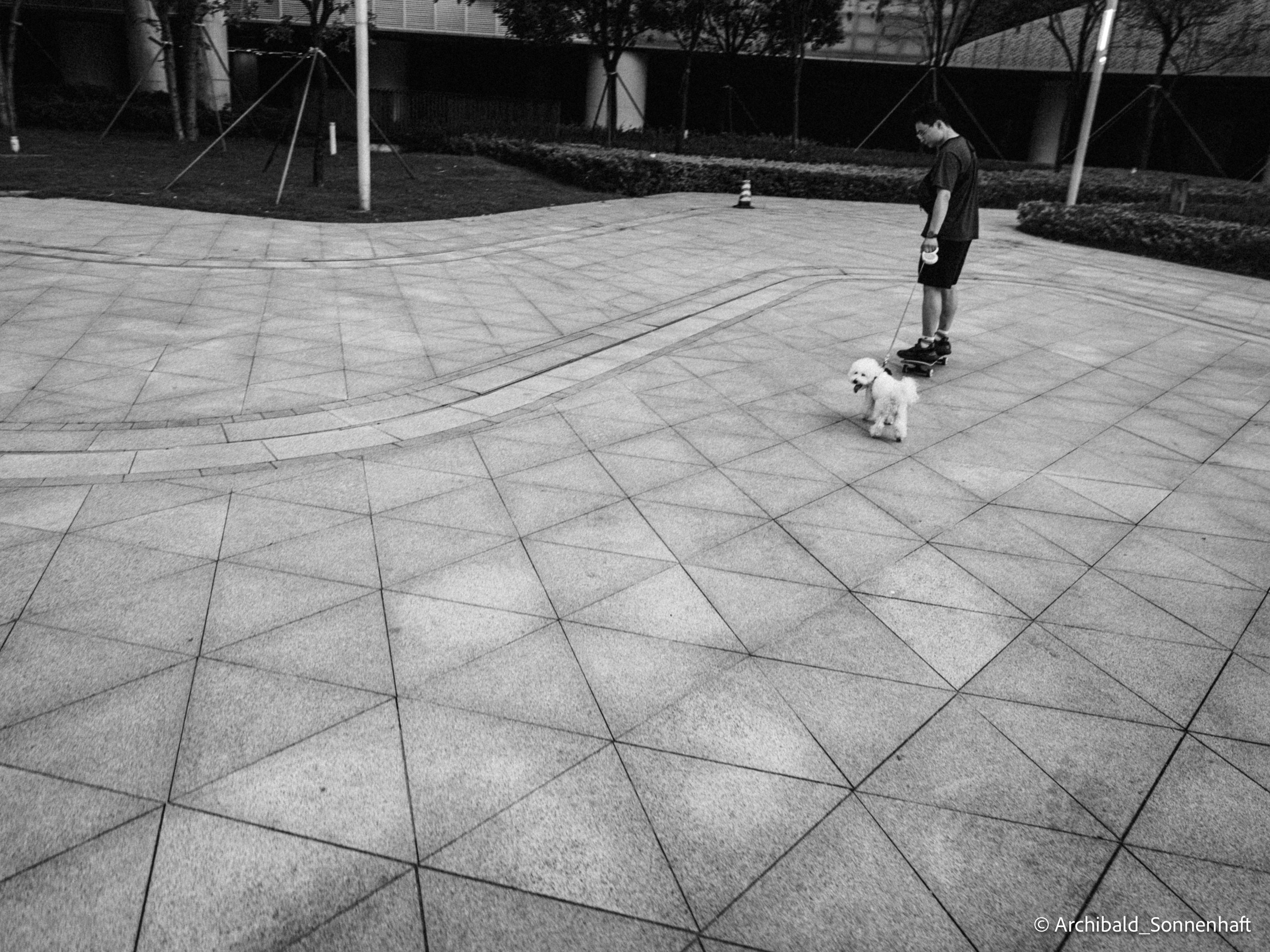 Office environs. Photographer in Guangzhou, China. Archibald Sonnenhaft