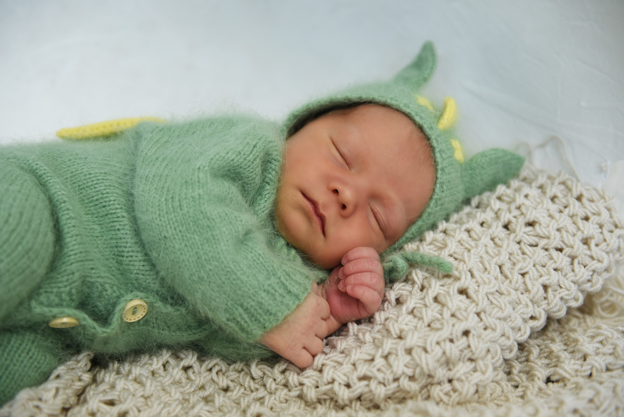 Артем-динозаврик. Семейный, детский и школьный фотограф в Димитровграде Наумова Екатерина