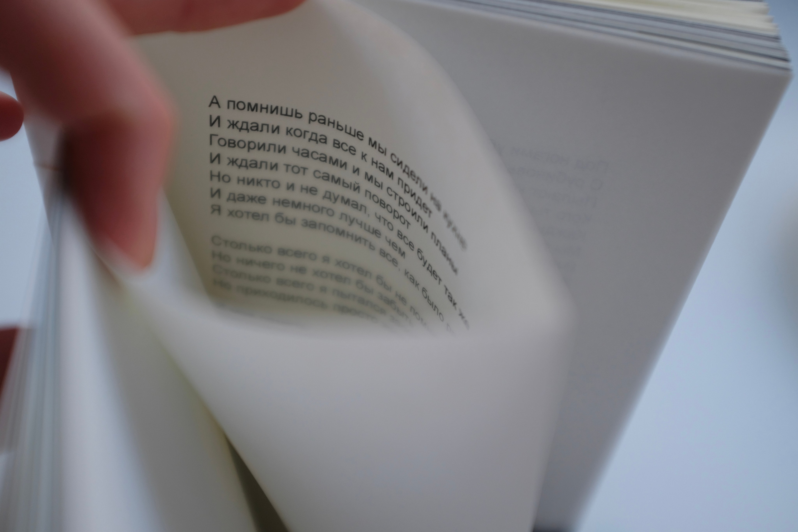 Липкий пол [книга]. Аня белка — художница и фотограф