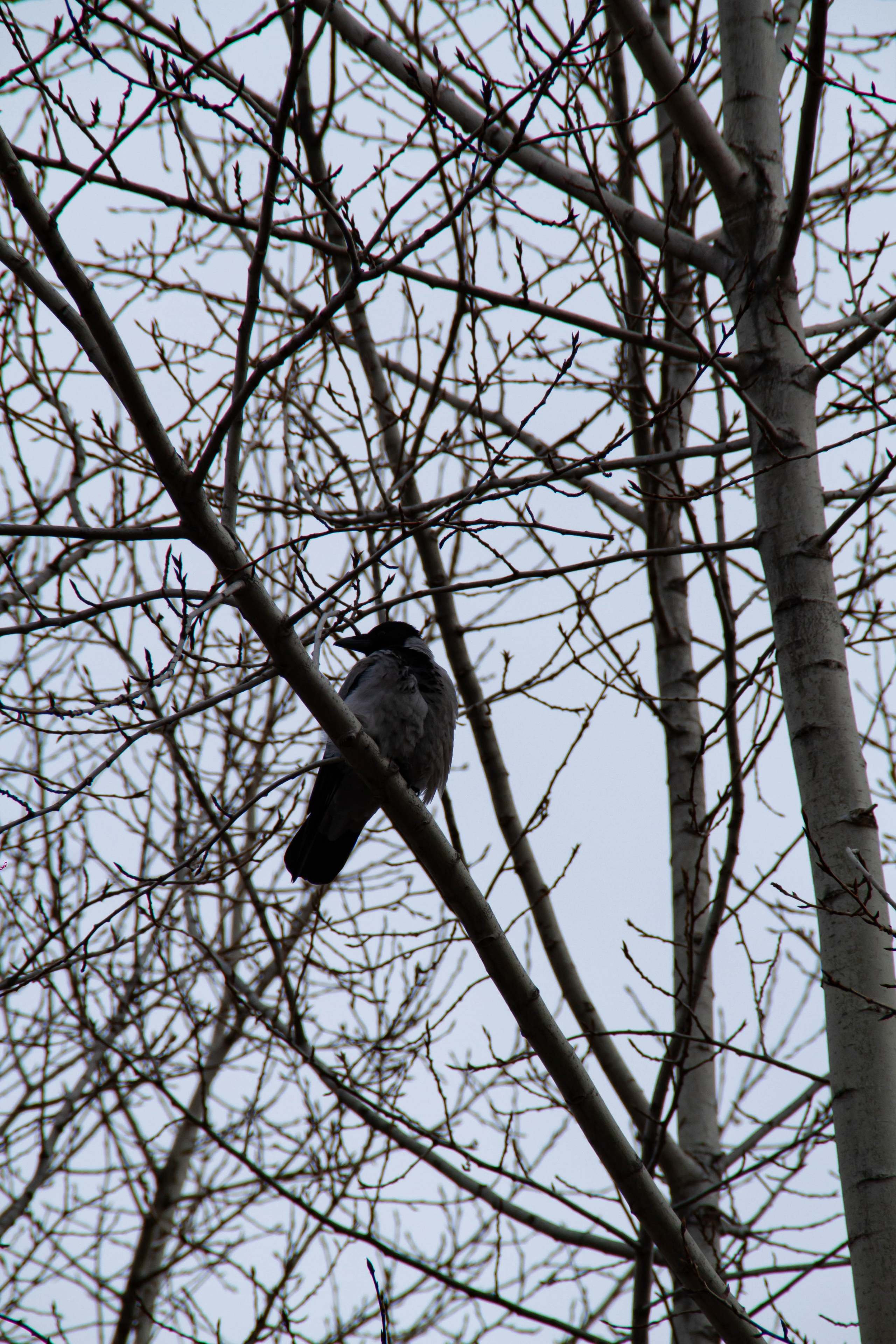 Архитектура