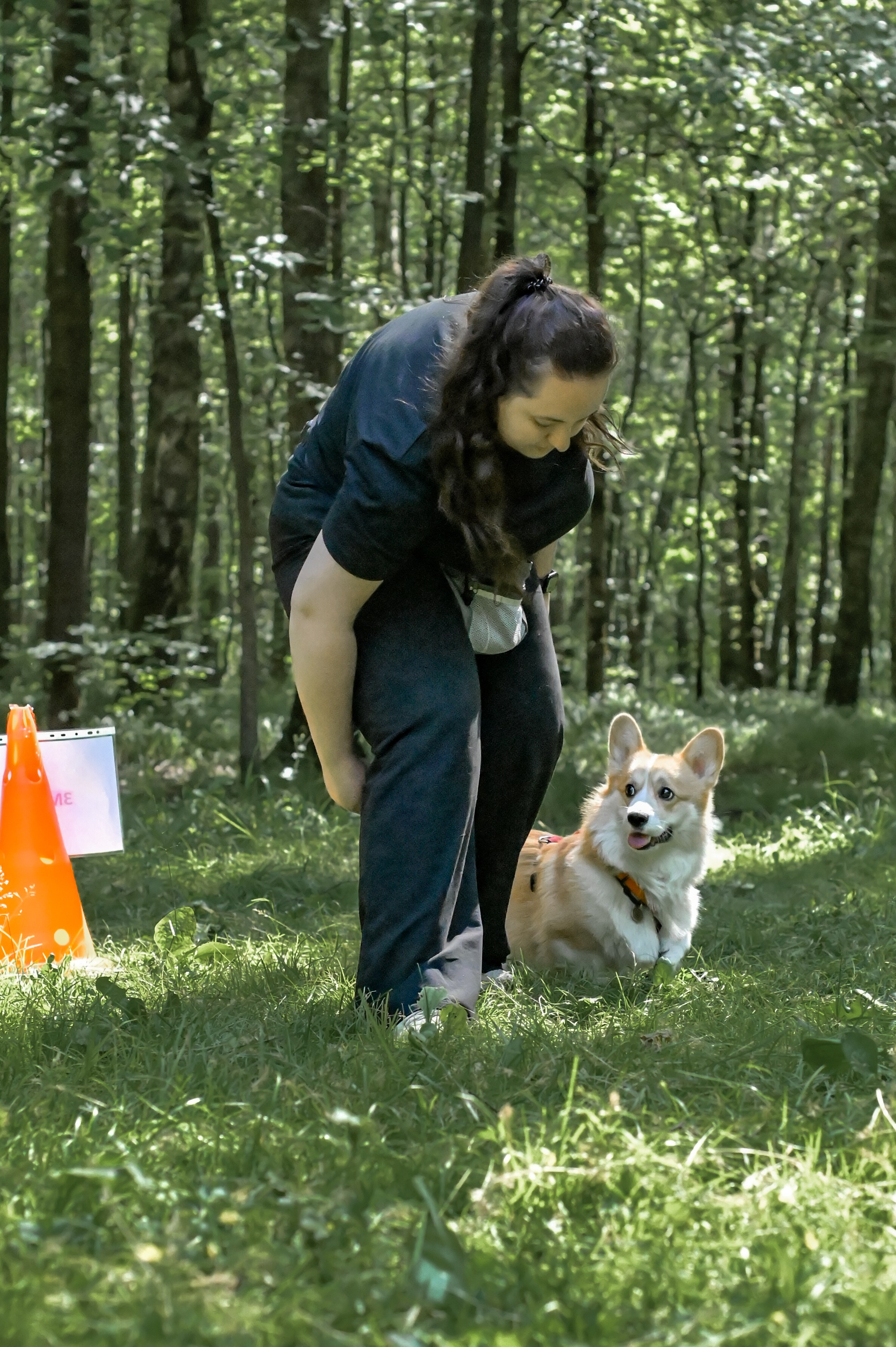 Кинологические соревнования. Семейный и репортажный фотограф в Москве Анастасия Трубкина