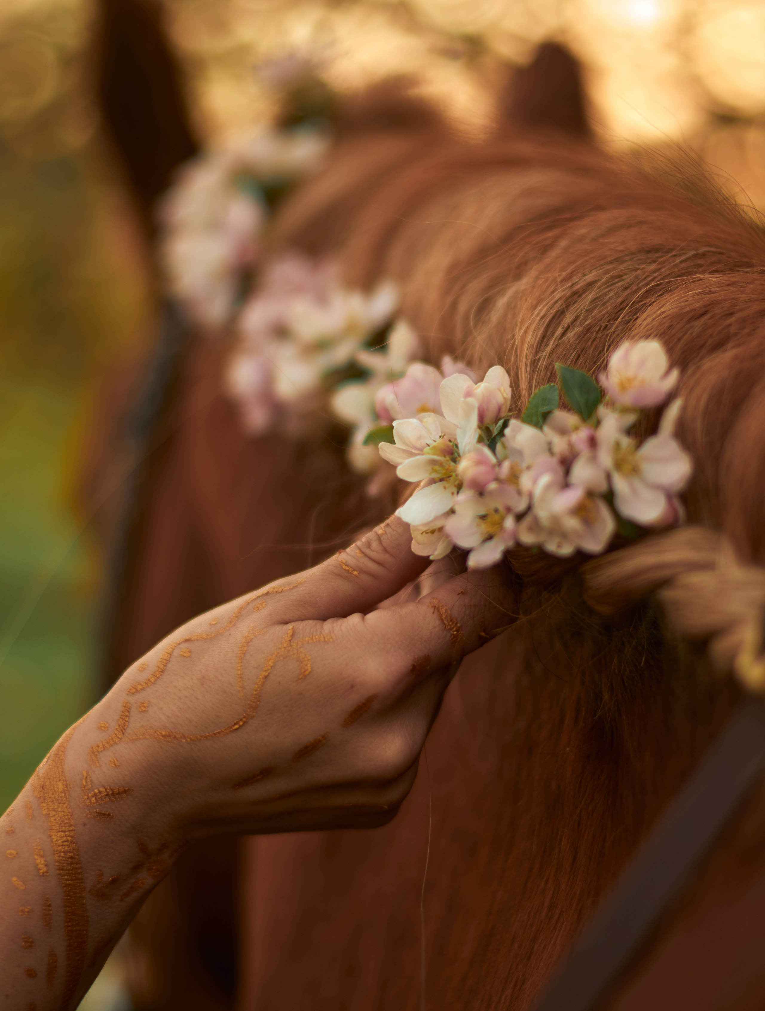 Фотосессия с лошадью. Фотограф в Севастополе