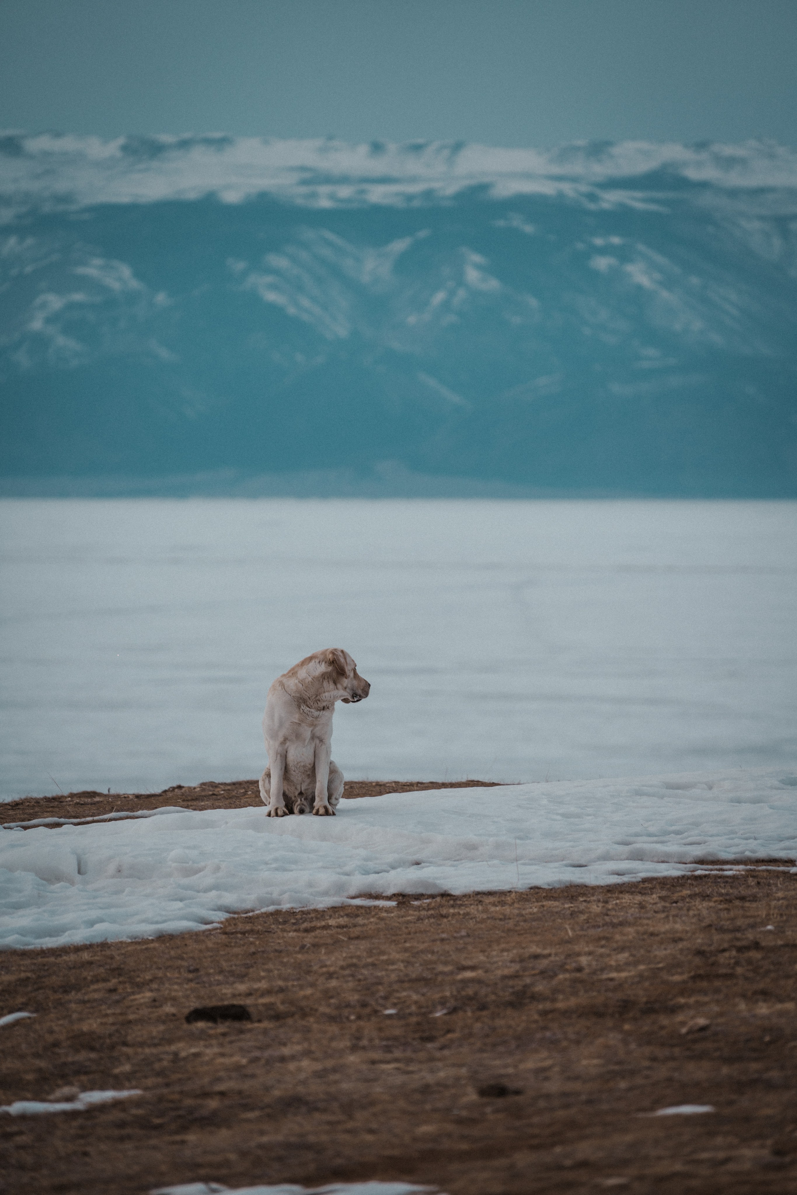 Байкал. Иркутск. Ольхон. Хужир. Листвянка. Оператор и Фотограф в Санкт-Петербурге и Москве