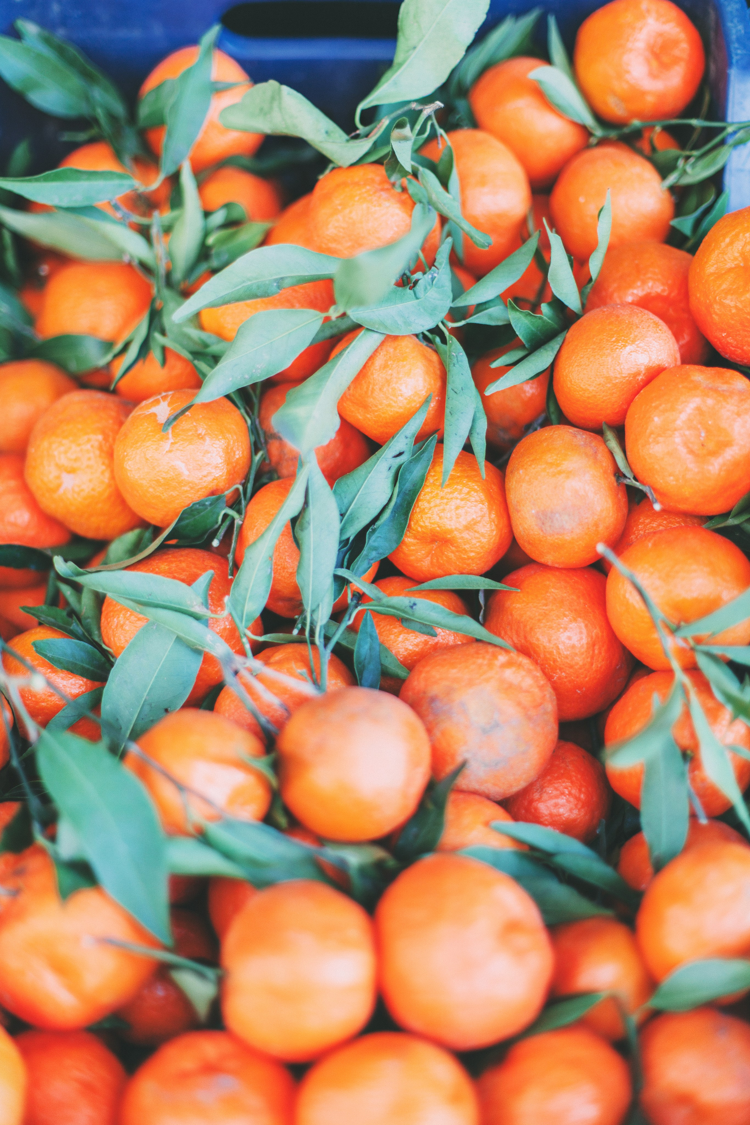 Афины. Аня Степанова