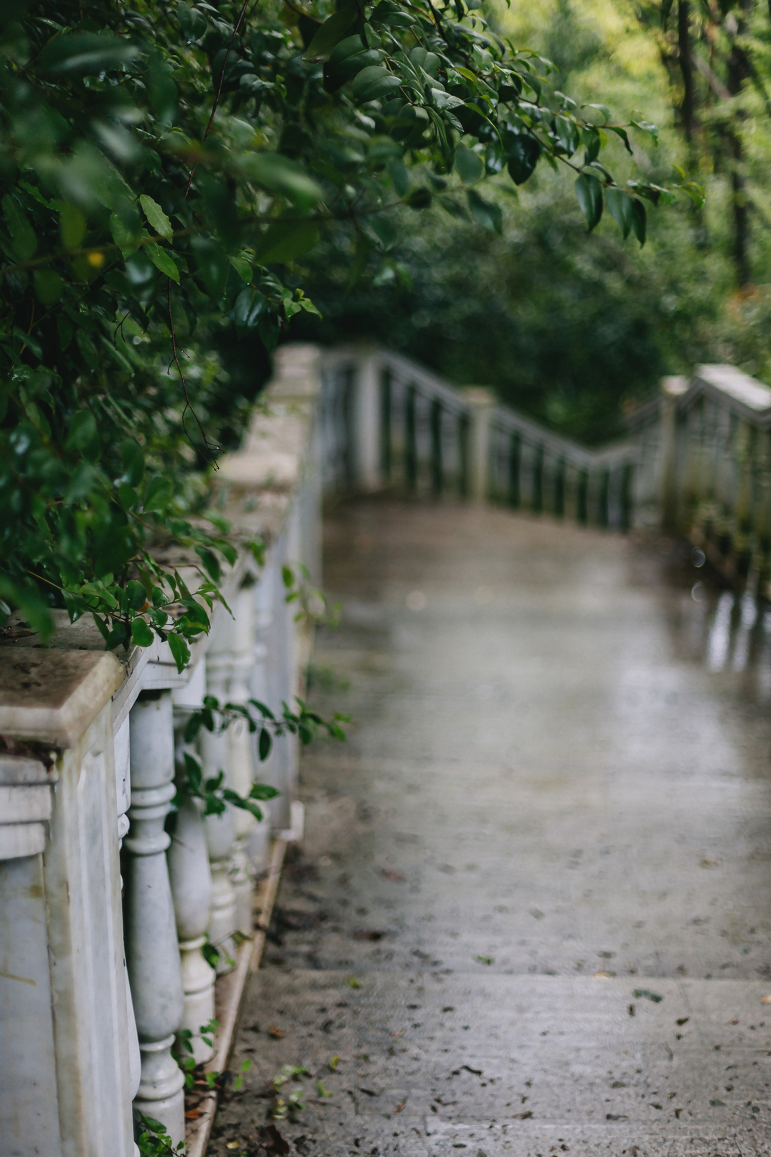 Сочи. Аня Степанова