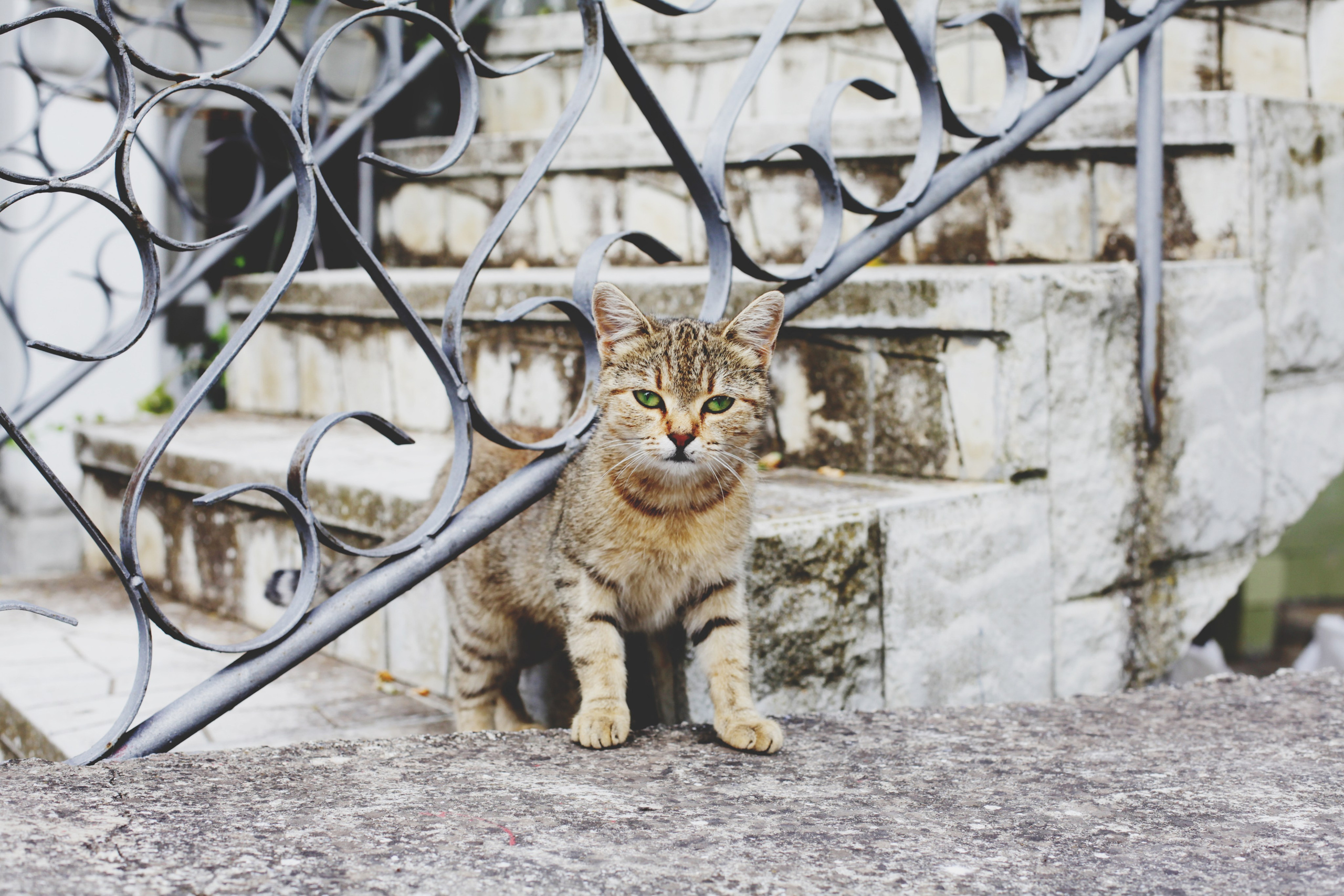 Болгария. Аня Степанова